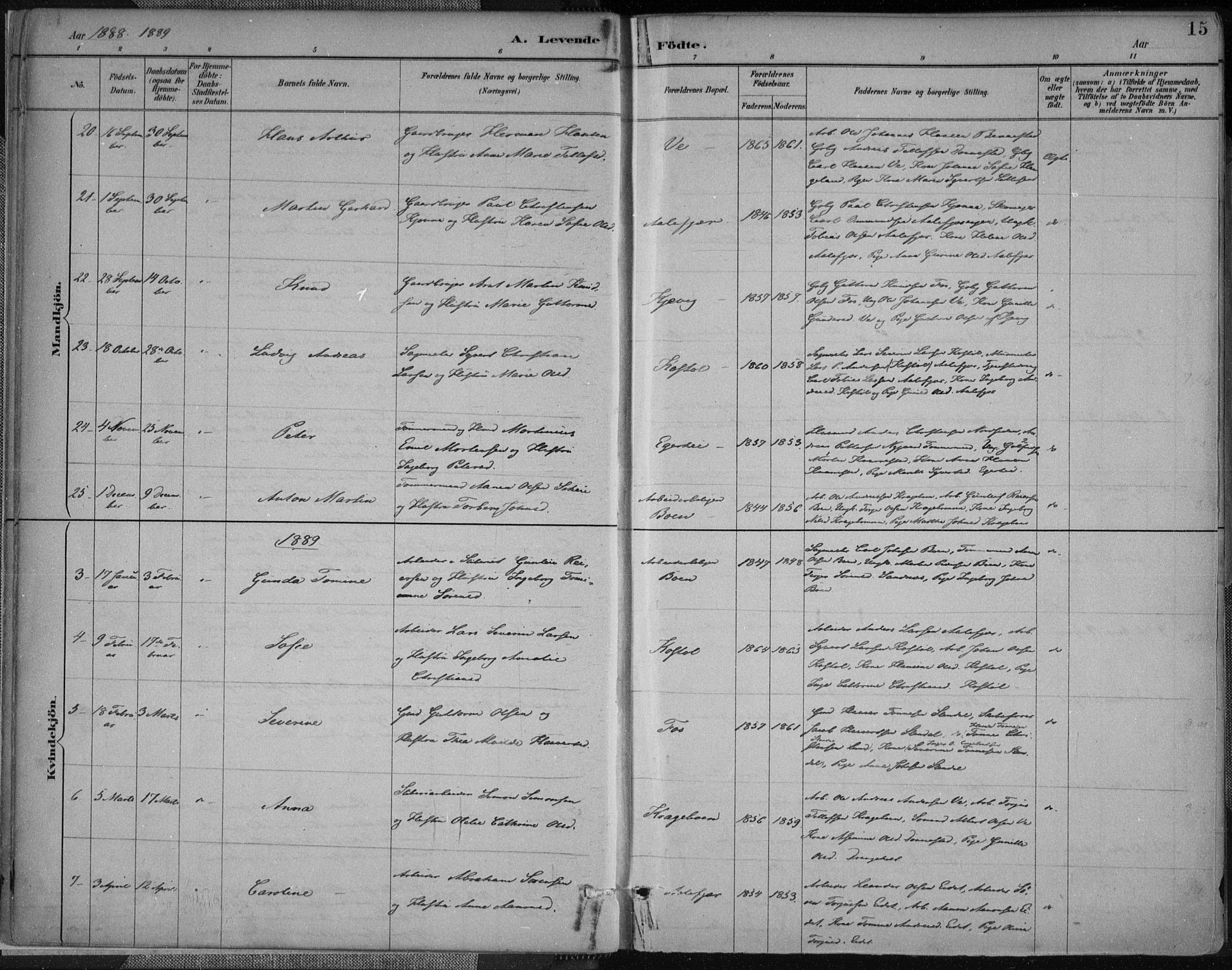 Tveit sokneprestkontor, AV/SAK-1111-0043/F/Fa/L0007: Parish register (official) no. A 7, 1887-1908, p. 15