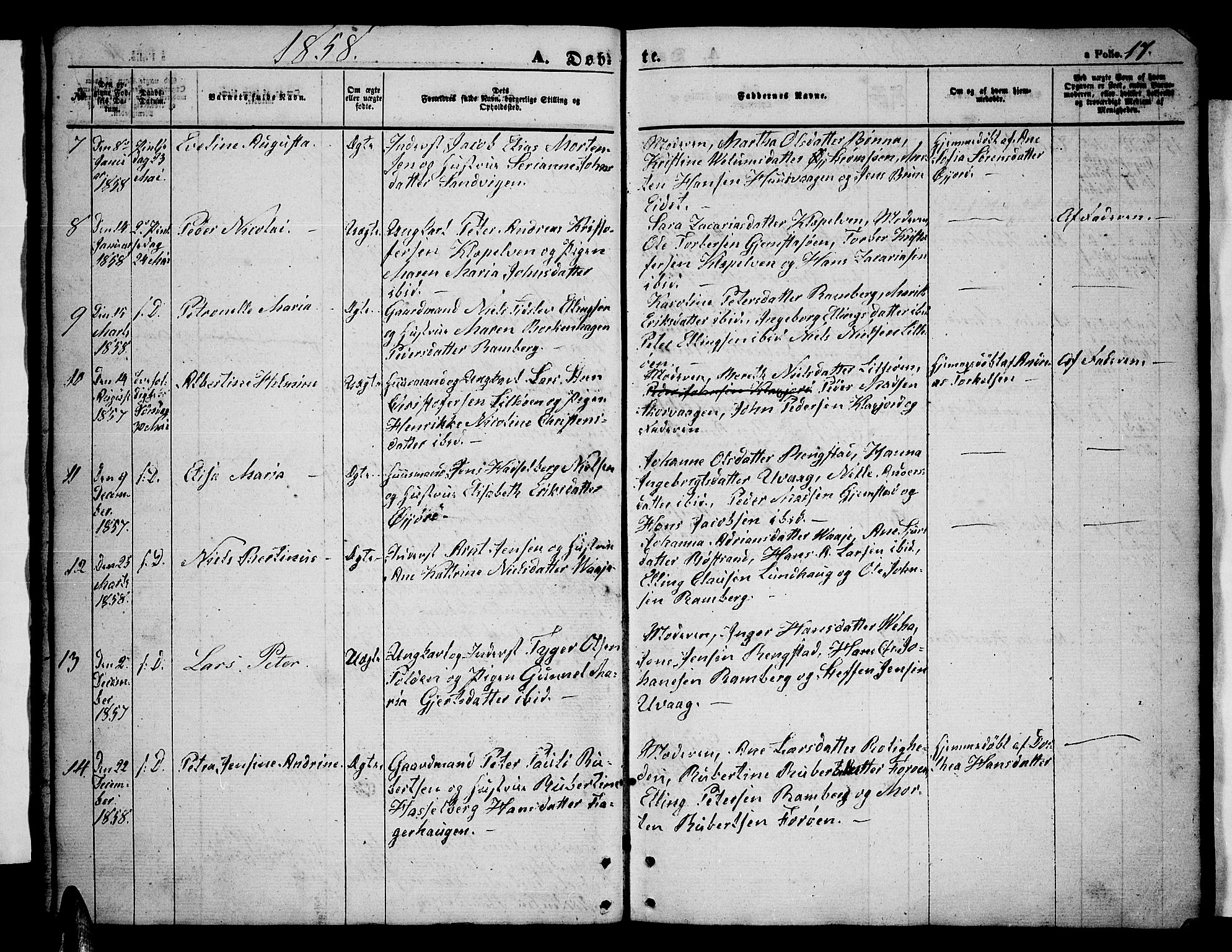 Ministerialprotokoller, klokkerbøker og fødselsregistre - Nordland, SAT/A-1459/891/L1313: Parish register (copy) no. 891C02, 1856-1870, p. 17