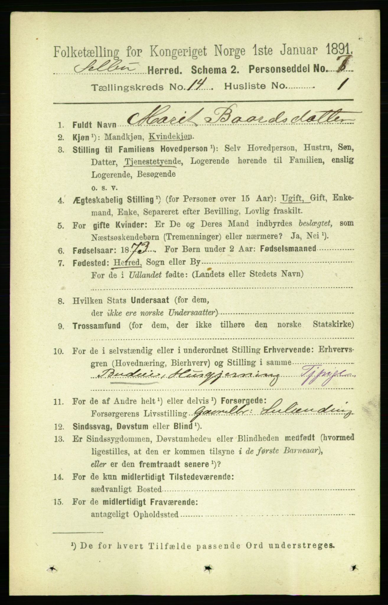 RA, 1891 census for 1664 Selbu, 1891, p. 5086