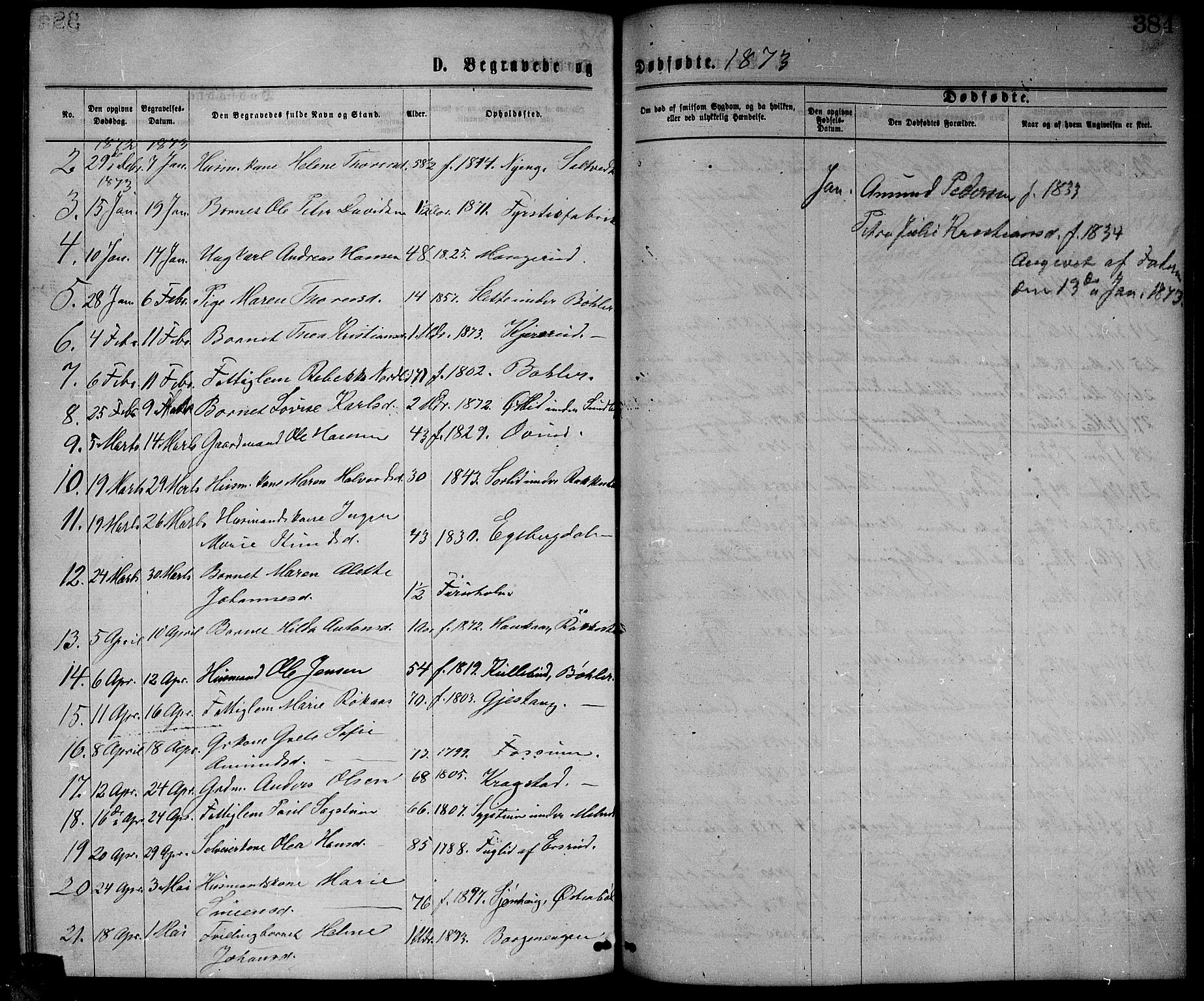 Enebakk prestekontor Kirkebøker, SAO/A-10171c/G/Ga/L0005: Parish register (copy) no. I 5, 1867-1888, p. 384