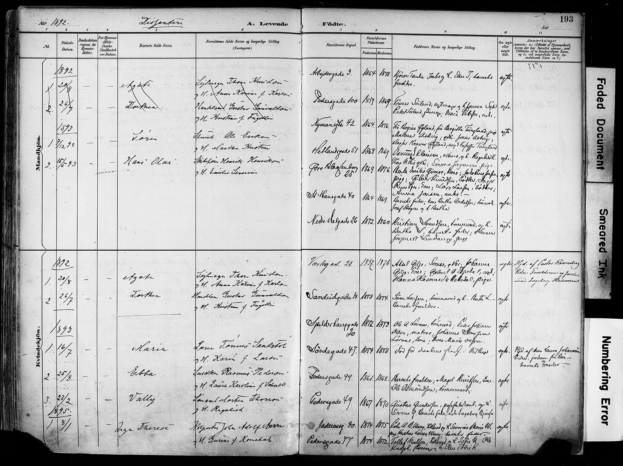 St. Johannes sokneprestkontor, SAST/A-101814/001/30/30BA/L0004: Parish register (official) no. A 4, 1891-1899, p. 193