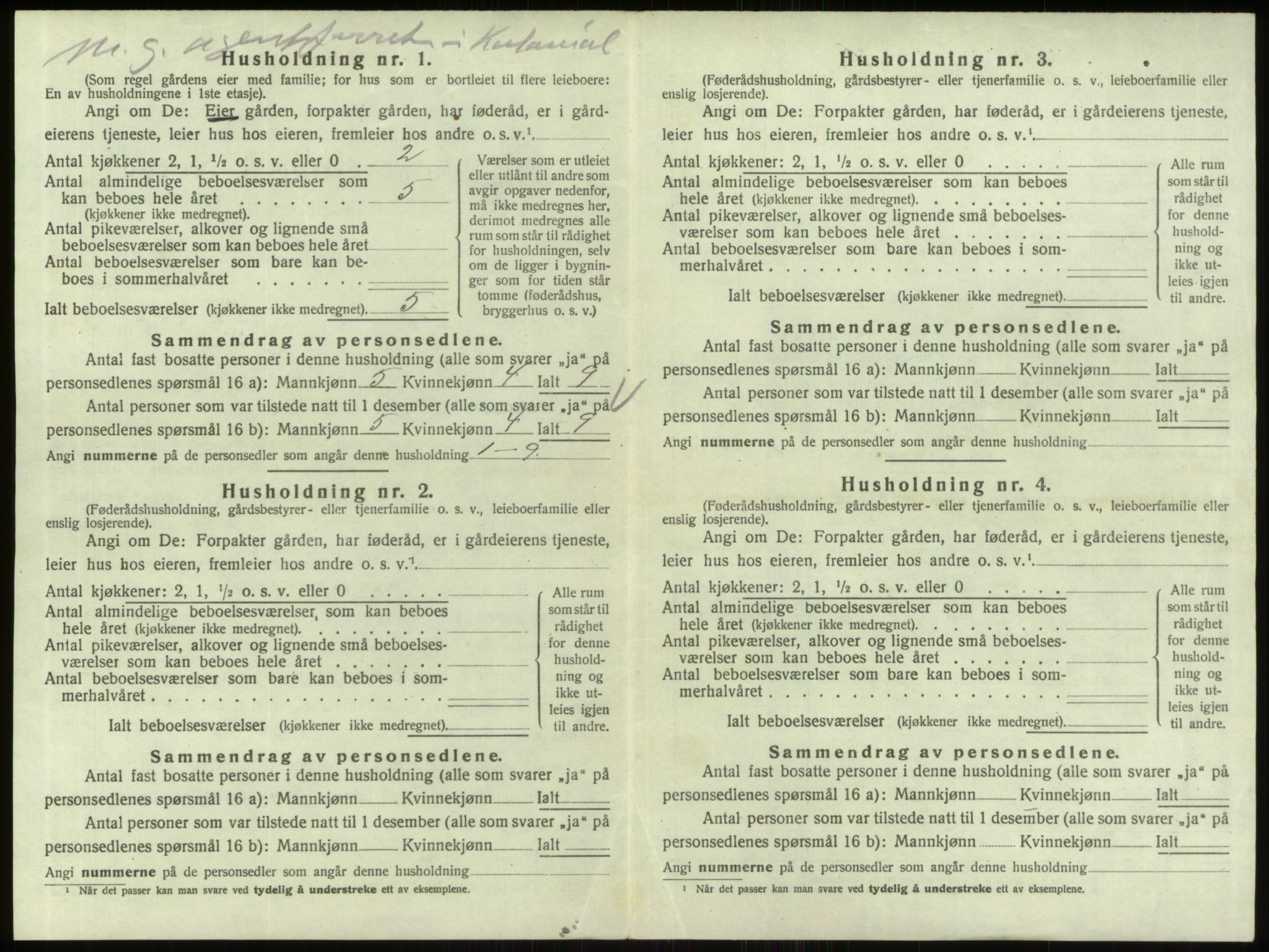 SAO, 1920 census for Berg, 1920, p. 869