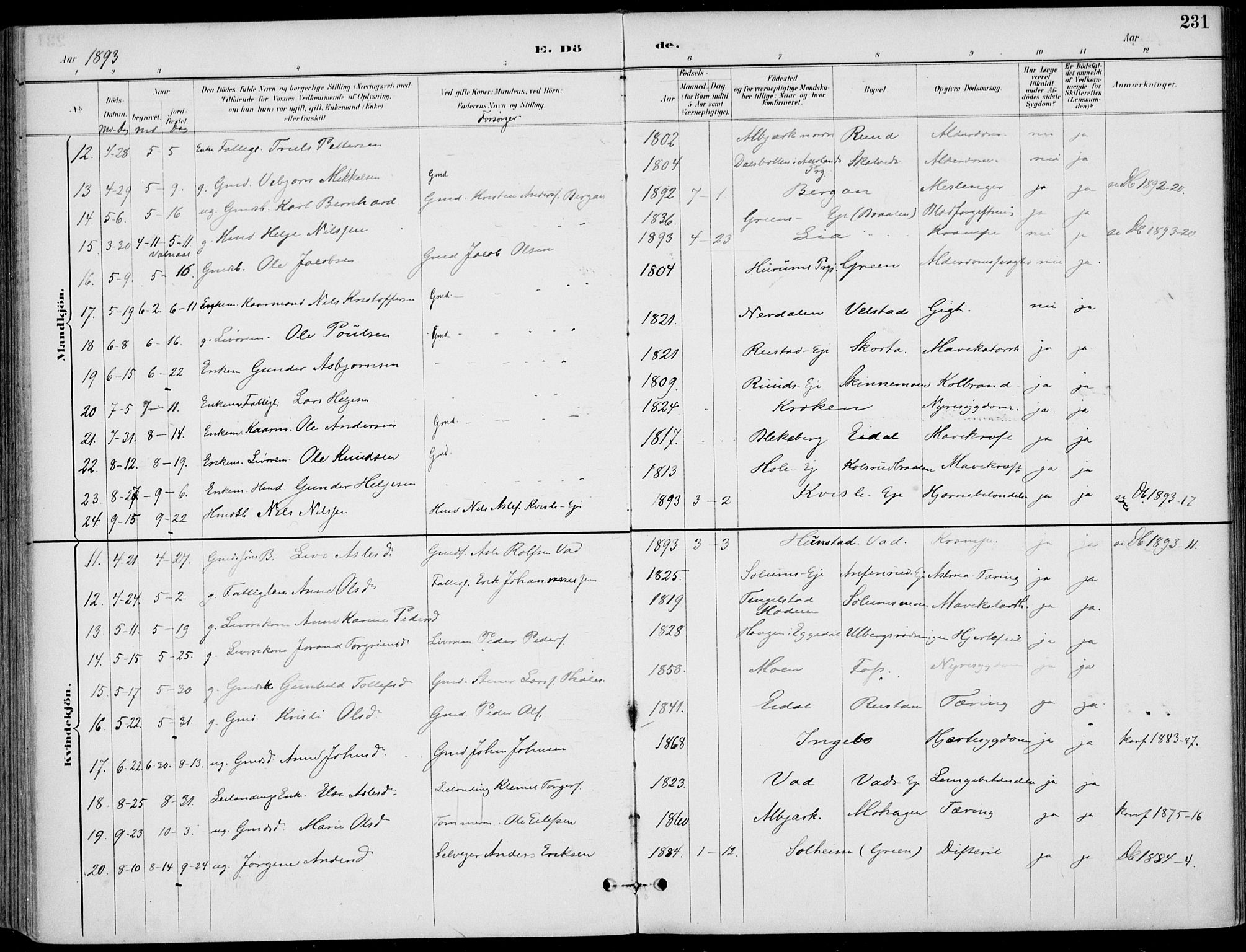 Sigdal kirkebøker, AV/SAKO-A-245/F/Fb/L0001: Parish register (official) no. II 1, 1888-1900, p. 231