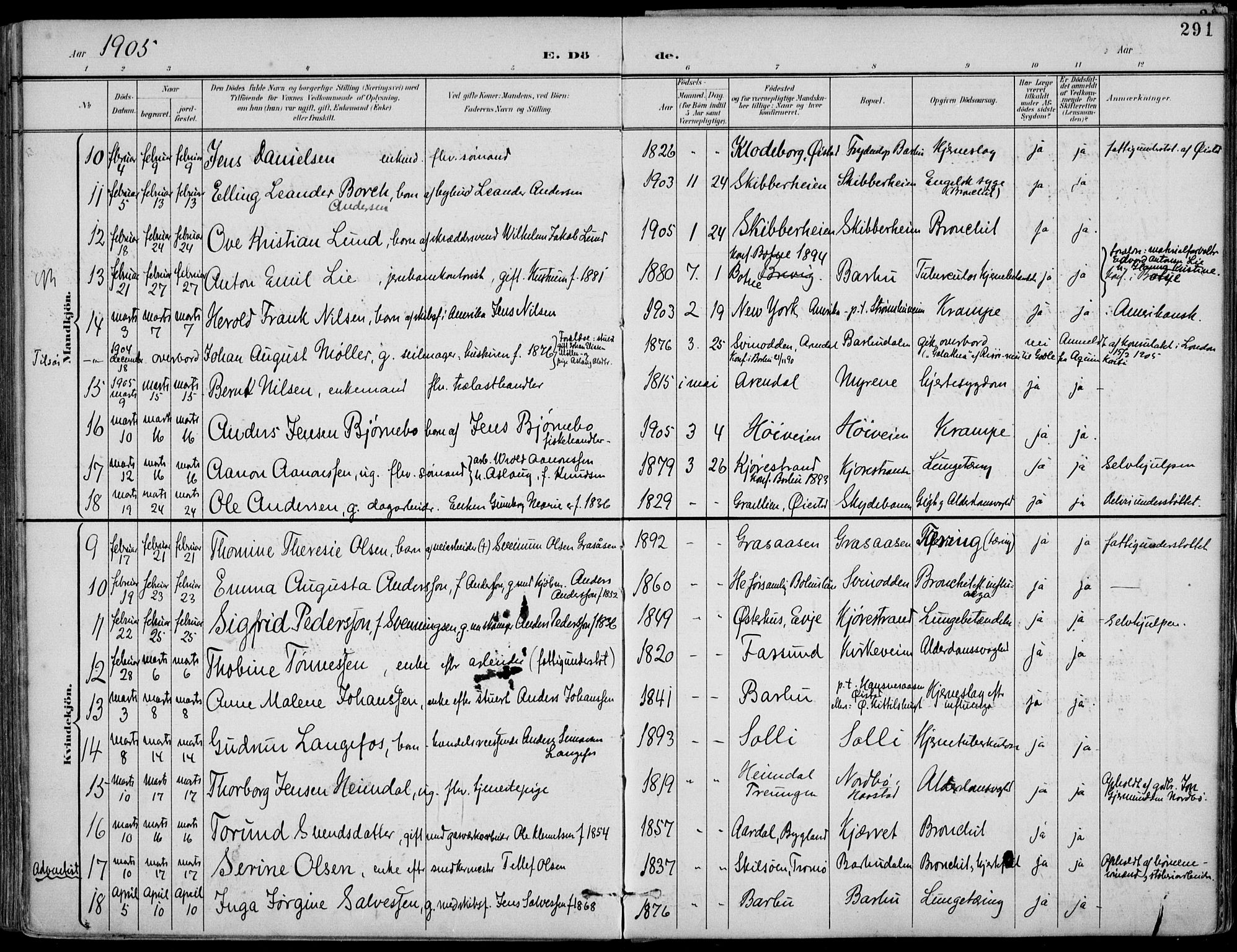 Barbu sokneprestkontor, AV/SAK-1111-0003/F/Fa/L0005: Parish register (official) no. A 5, 1899-1909, p. 291