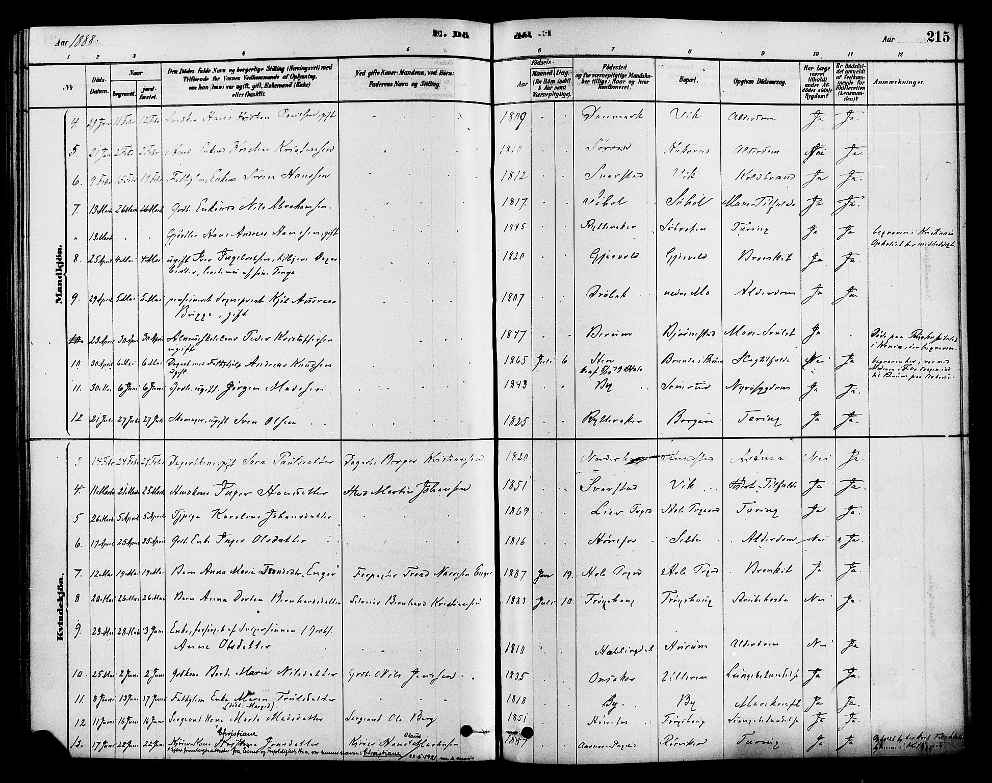 Hole kirkebøker, AV/SAKO-A-228/F/Fa/L0008: Parish register (official) no. I 8, 1878-1891, p. 215