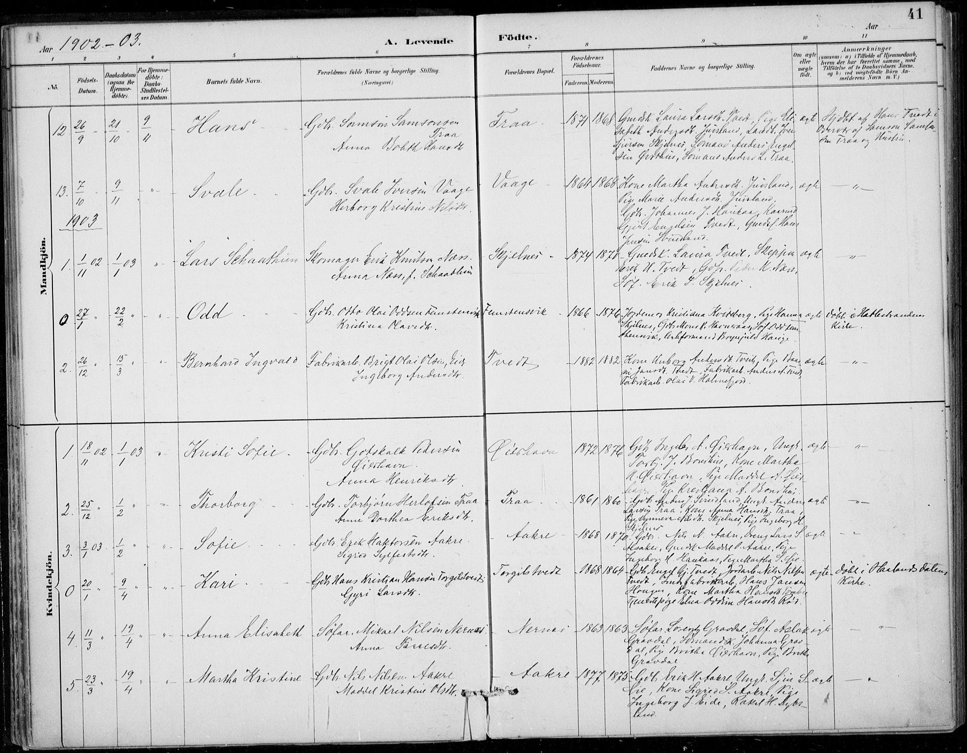 Strandebarm sokneprestembete, SAB/A-78401/H/Haa: Parish register (official) no. D  1, 1886-1912, p. 41