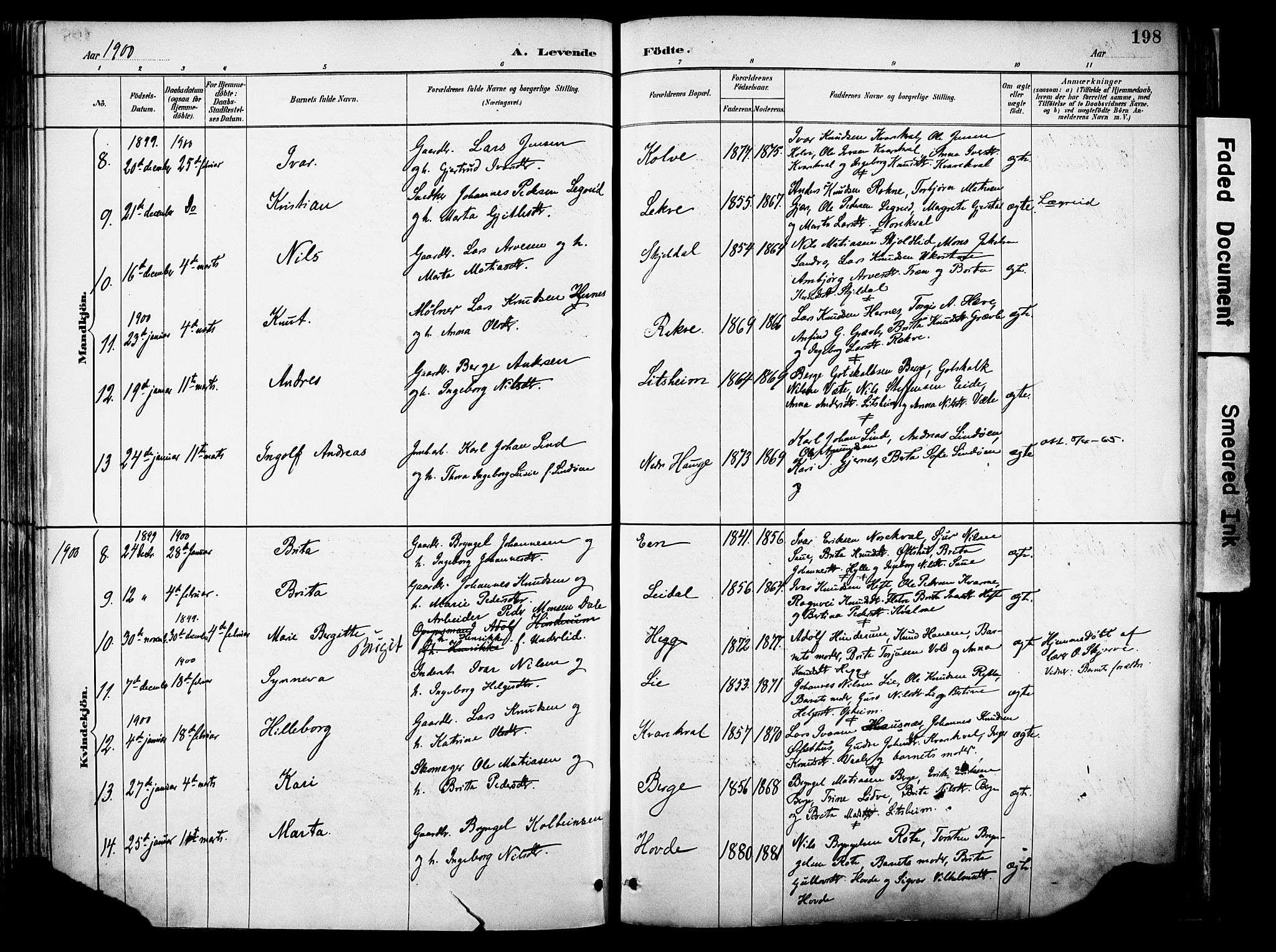 Voss sokneprestembete, SAB/A-79001/H/Haa: Parish register (official) no. A 21, 1887-1903, p. 198