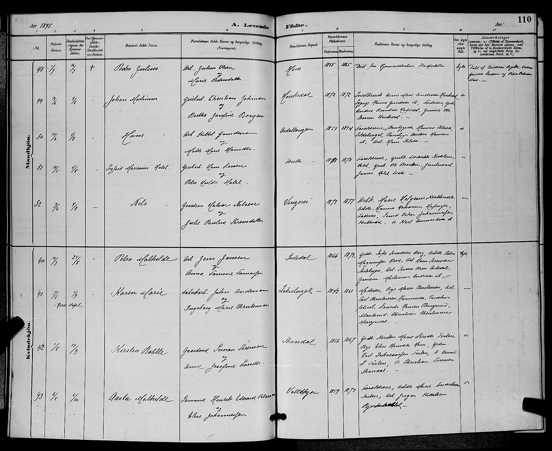 Bamble kirkebøker, SAKO/A-253/G/Ga/L0009: Parish register (copy) no. I 9, 1888-1900, p. 110