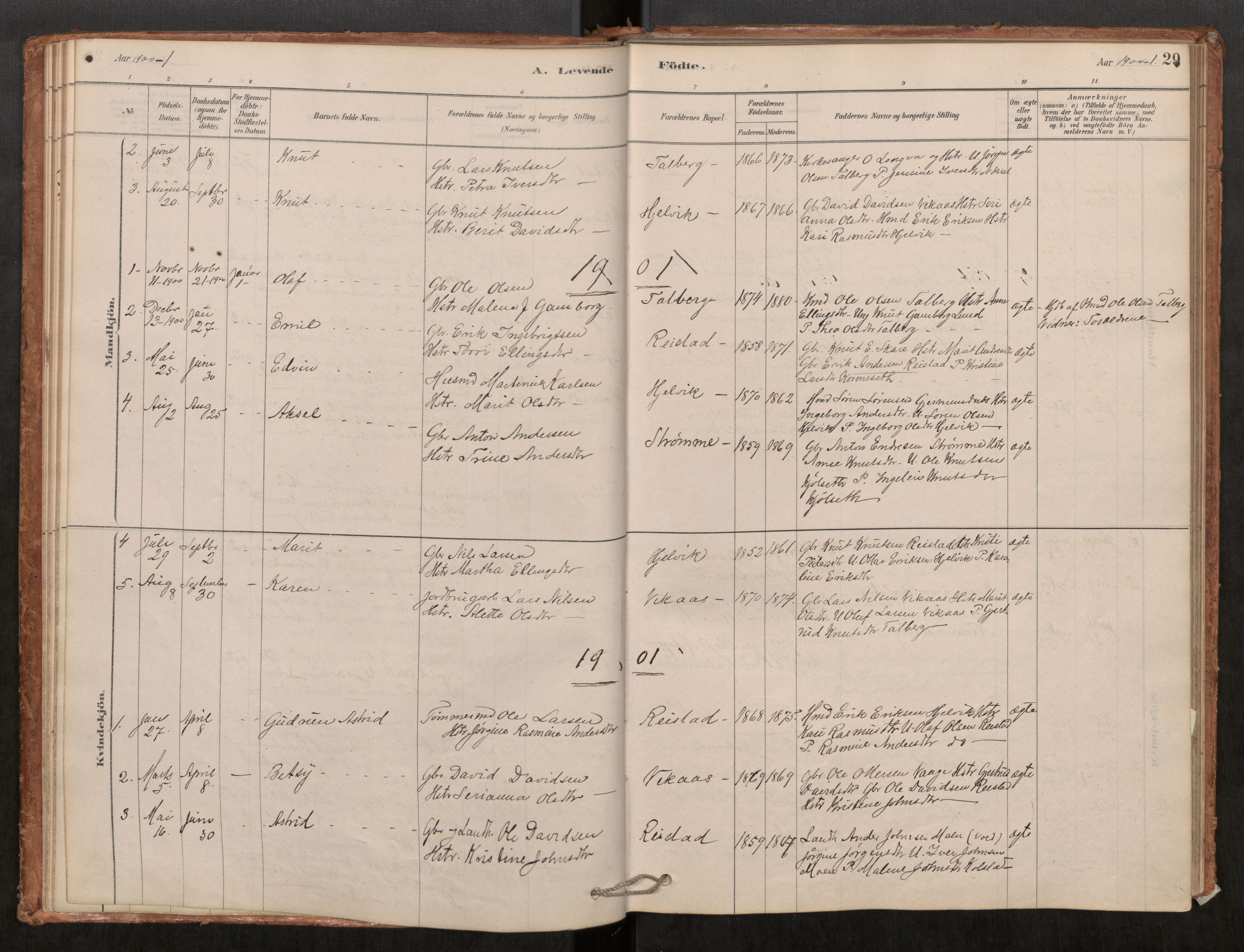 Ministerialprotokoller, klokkerbøker og fødselsregistre - Møre og Romsdal, AV/SAT-A-1454/550/L0621: Parish register (official) no. 550A01, 1878-1915, p. 29