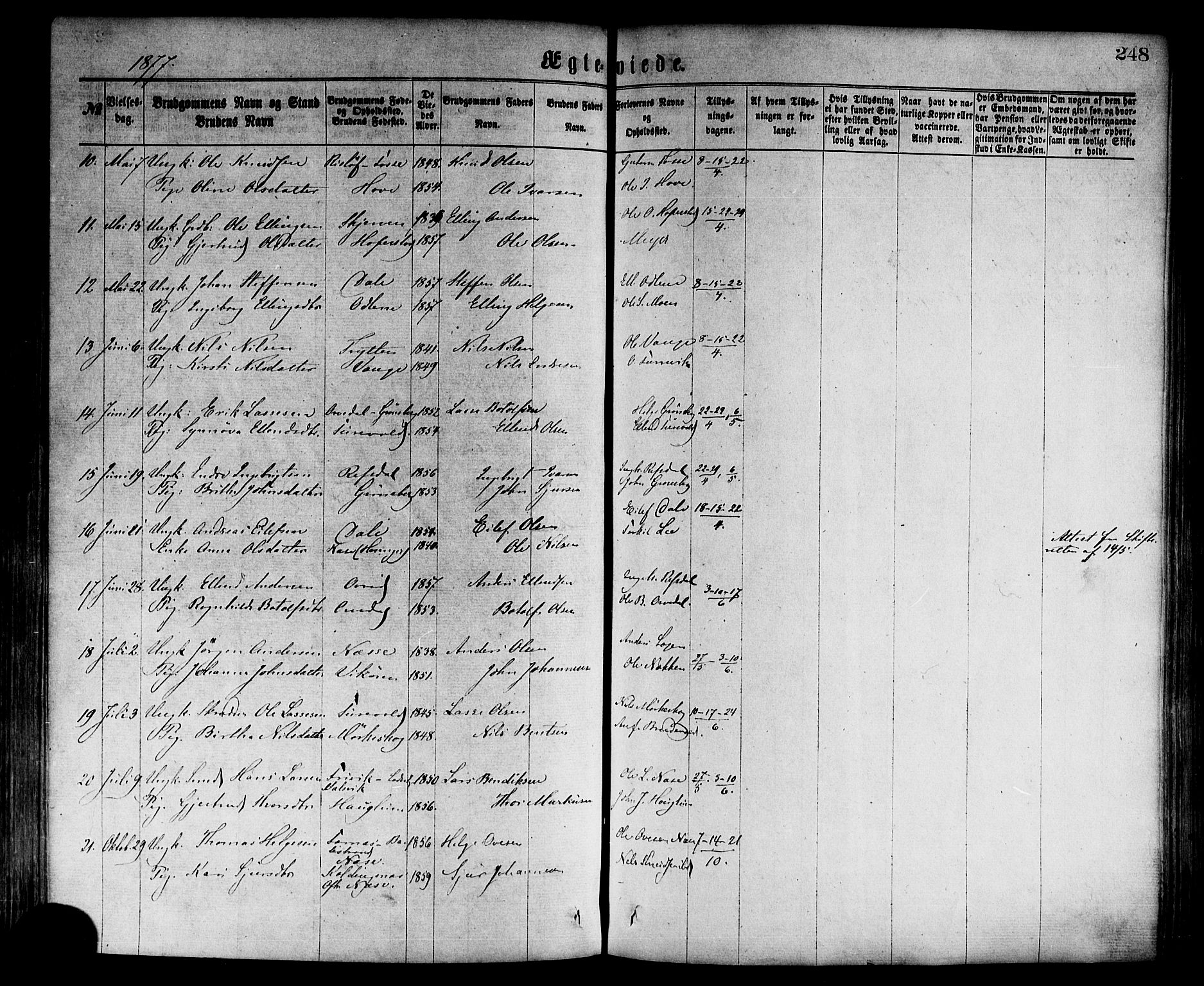Vik sokneprestembete, SAB/A-81501: Parish register (official) no. A 9, 1866-1877, p. 248