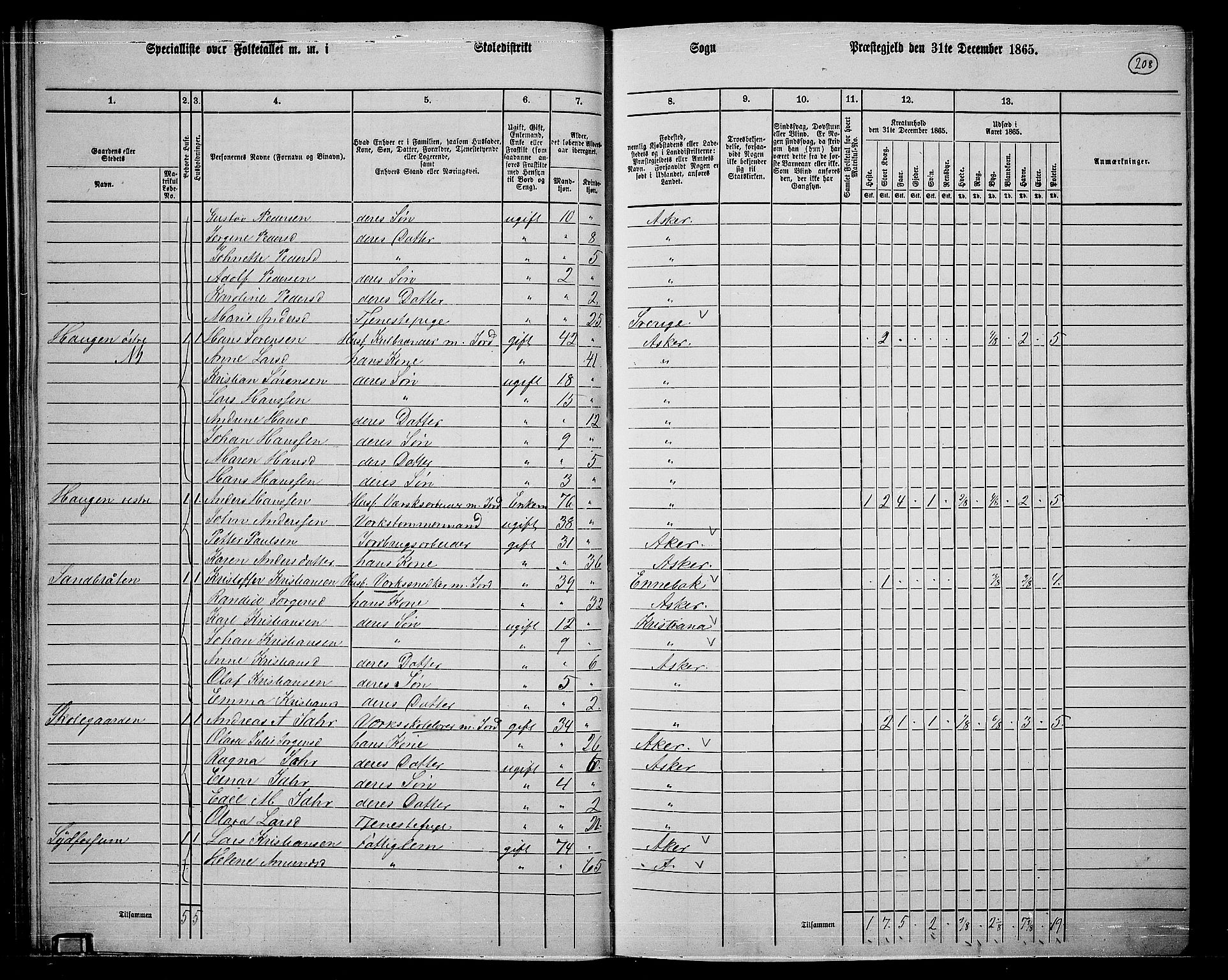 RA, 1865 census for Asker, 1865, p. 200