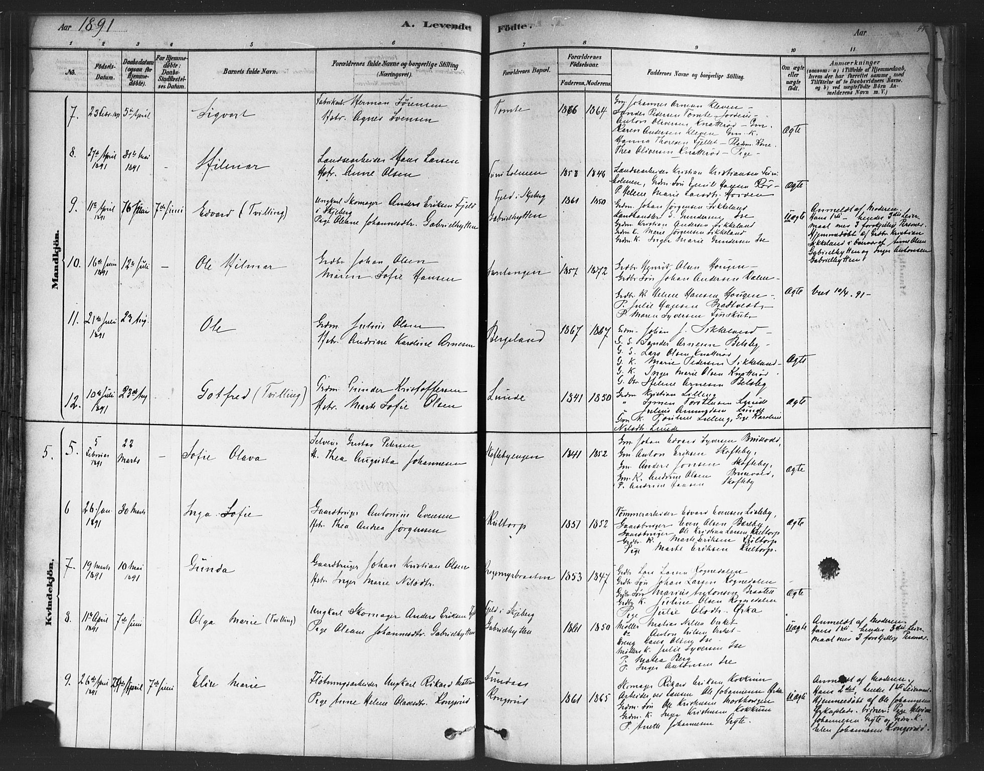 Varteig prestekontor Kirkebøker, SAO/A-10447a/F/Fa/L0002: Parish register (official) no. 2, 1878-1899, p. 45