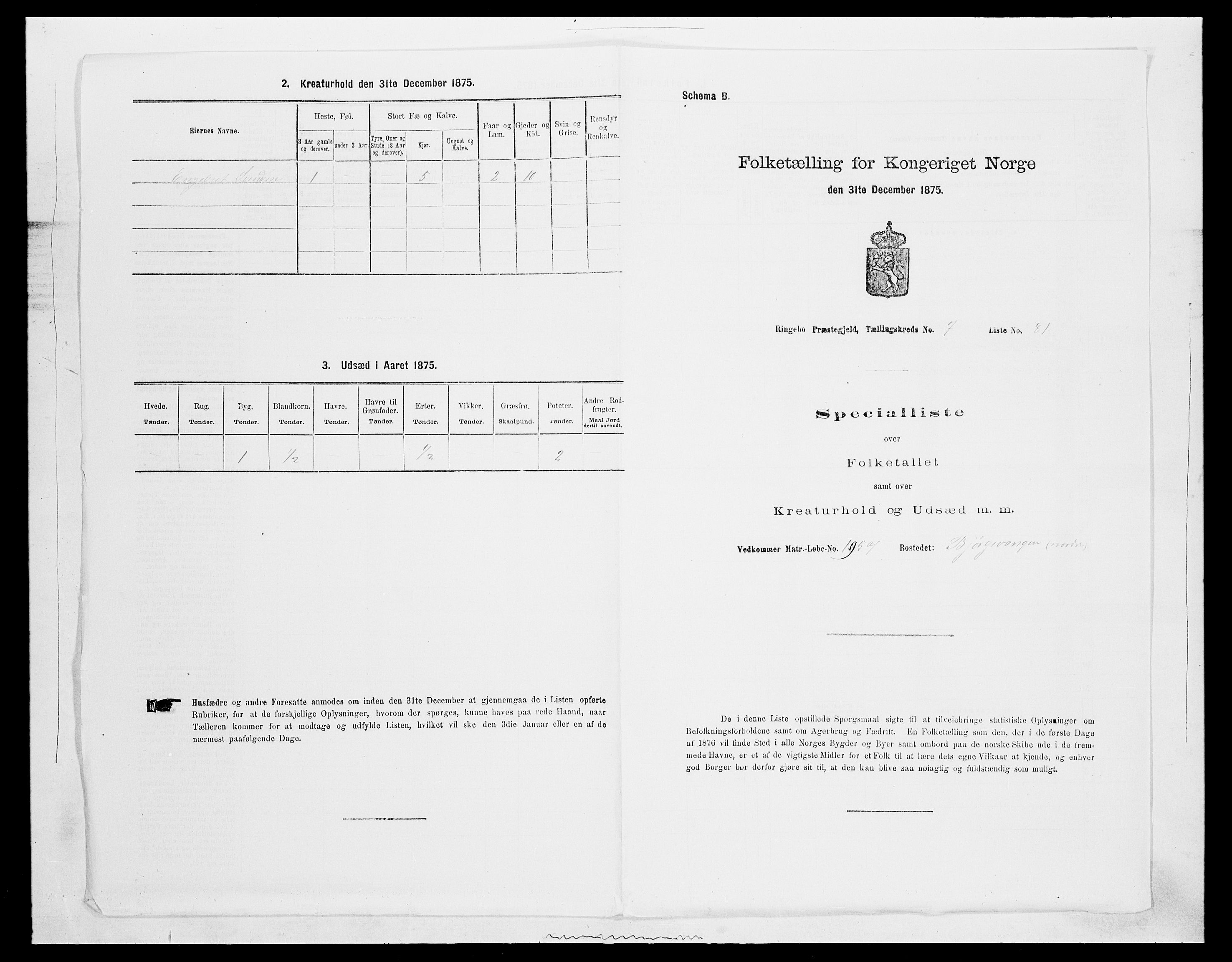 SAH, 1875 census for 0520P Ringebu, 1875, p. 1170