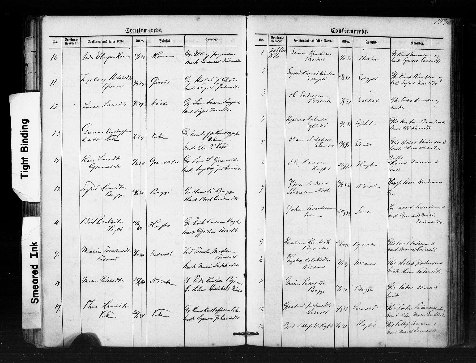 Ministerialprotokoller, klokkerbøker og fødselsregistre - Møre og Romsdal, SAT/A-1454/552/L0638: Parish register (copy) no. 552C01, 1867-1902, p. 173