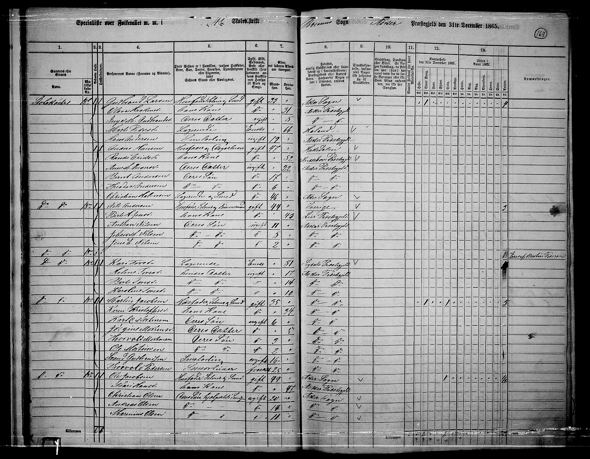 RA, 1865 census for Asker, 1865, p. 160