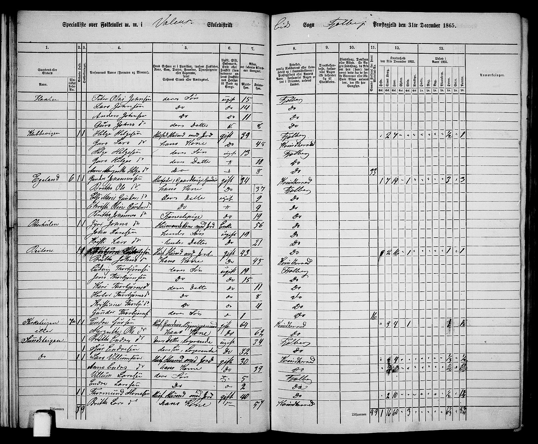 RA, 1865 census for Fjelberg, 1865, p. 17