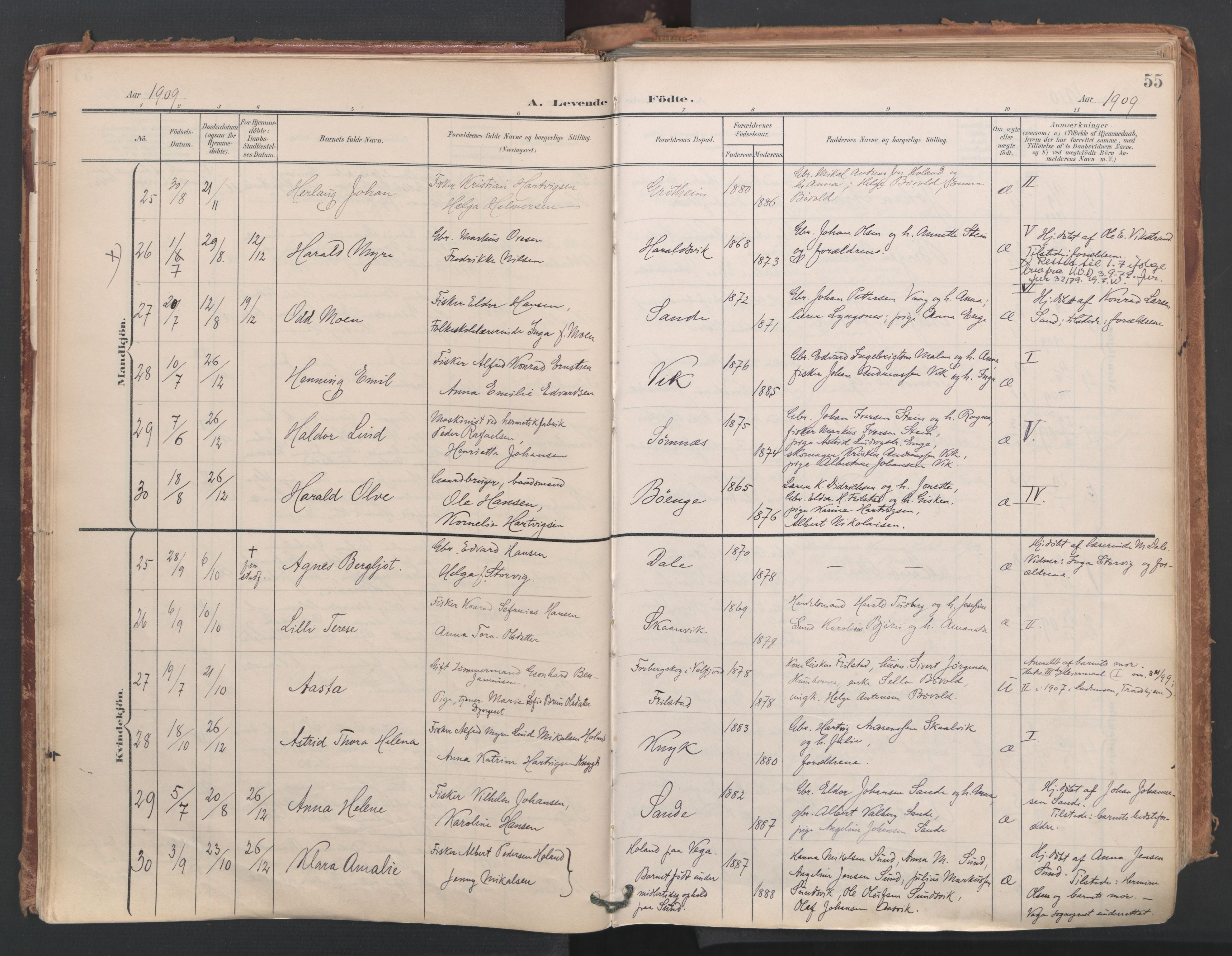 Ministerialprotokoller, klokkerbøker og fødselsregistre - Nordland, AV/SAT-A-1459/812/L0180: Parish register (official) no. 812A09, 1901-1915, p. 55