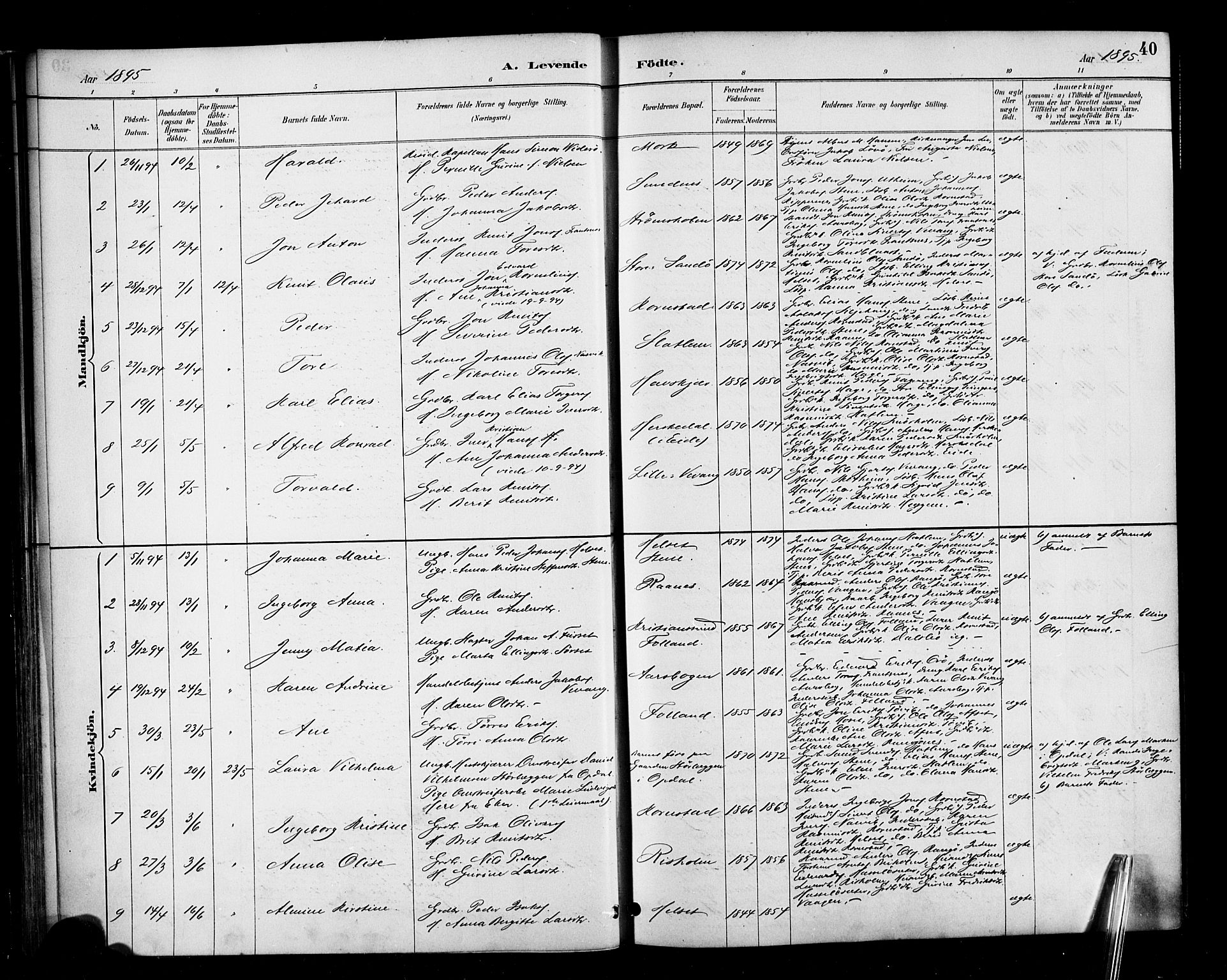 Ministerialprotokoller, klokkerbøker og fødselsregistre - Møre og Romsdal, AV/SAT-A-1454/570/L0832: Parish register (official) no. 570A06, 1885-1900, p. 40