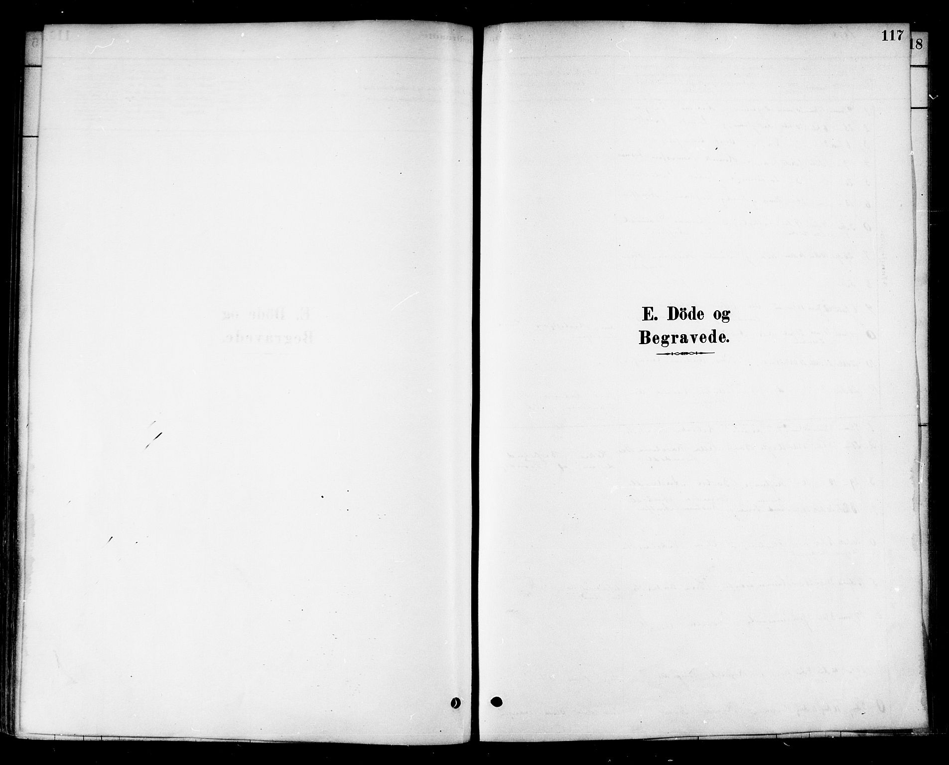 Ministerialprotokoller, klokkerbøker og fødselsregistre - Nord-Trøndelag, SAT/A-1458/741/L0395: Parish register (official) no. 741A09, 1878-1888, p. 117