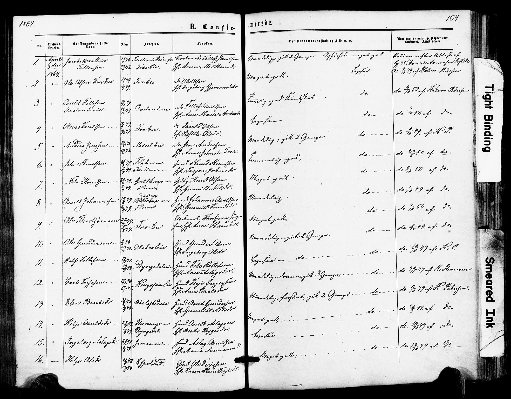 Froland sokneprestkontor, SAK/1111-0013/F/Fa/L0003: Parish register (official) no. A 3, 1864-1881, p. 104