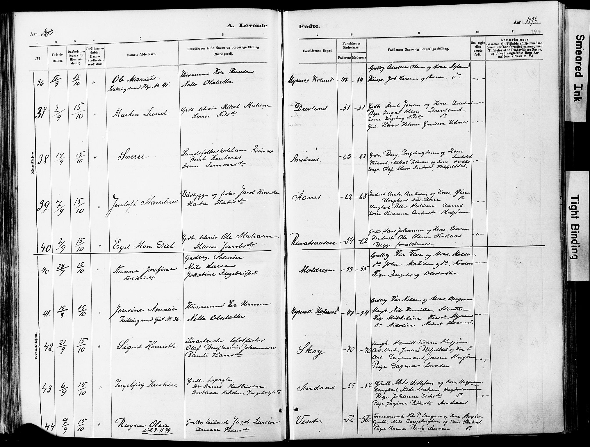 Ministerialprotokoller, klokkerbøker og fødselsregistre - Nordland, AV/SAT-A-1459/820/L0295: Parish register (official) no. 820A16, 1880-1896, p. 124