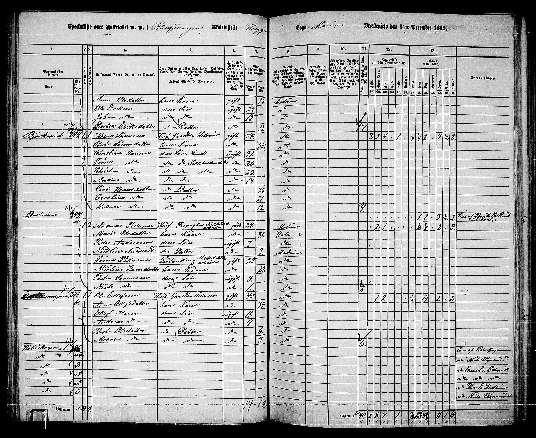 RA, 1865 census for Modum, 1865, p. 104