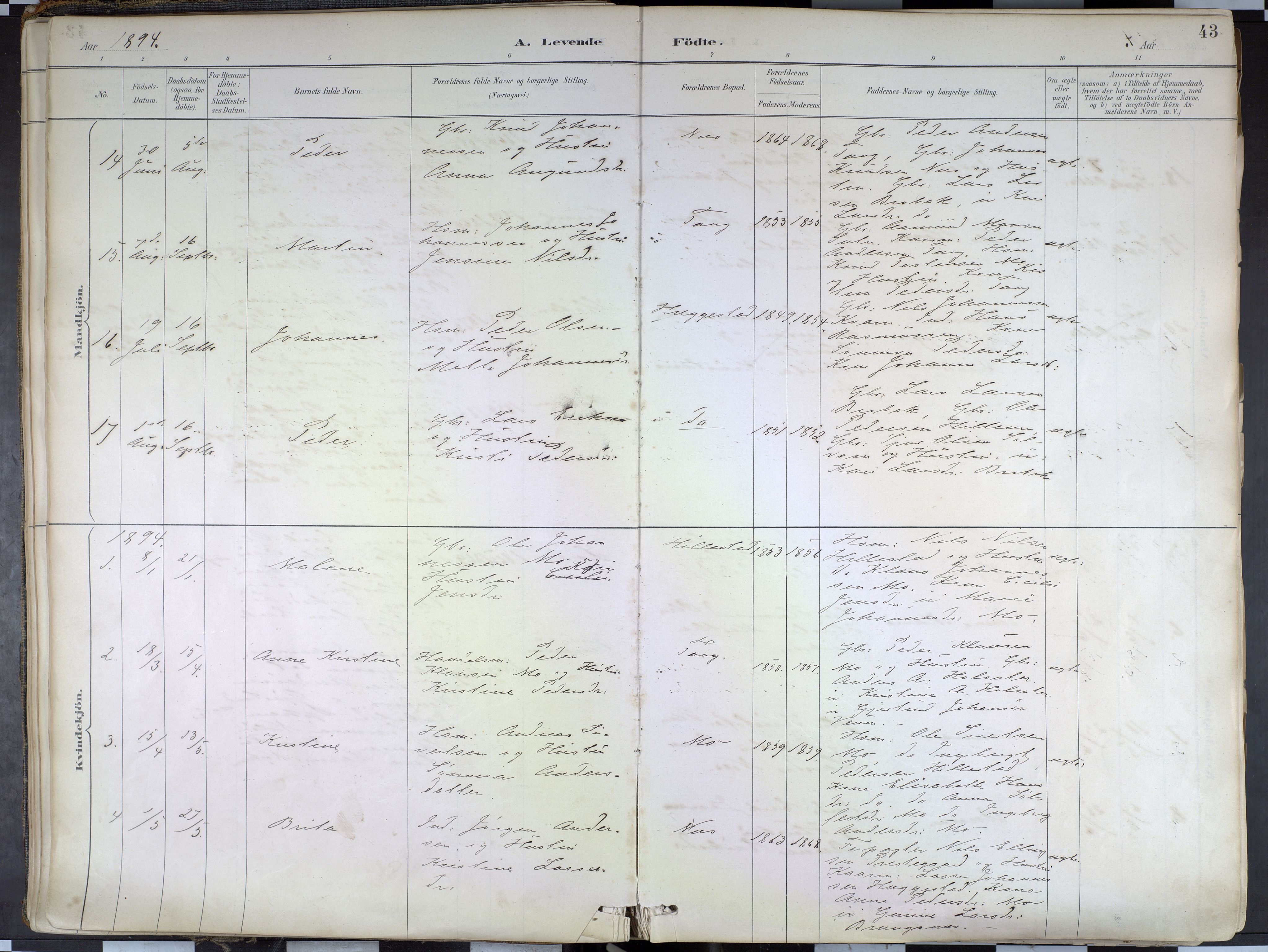 Hafslo sokneprestembete, AV/SAB-A-80301/H/Haa/Haab/L0001: Parish register (official) no. B 1, 1886-1945, p. 43