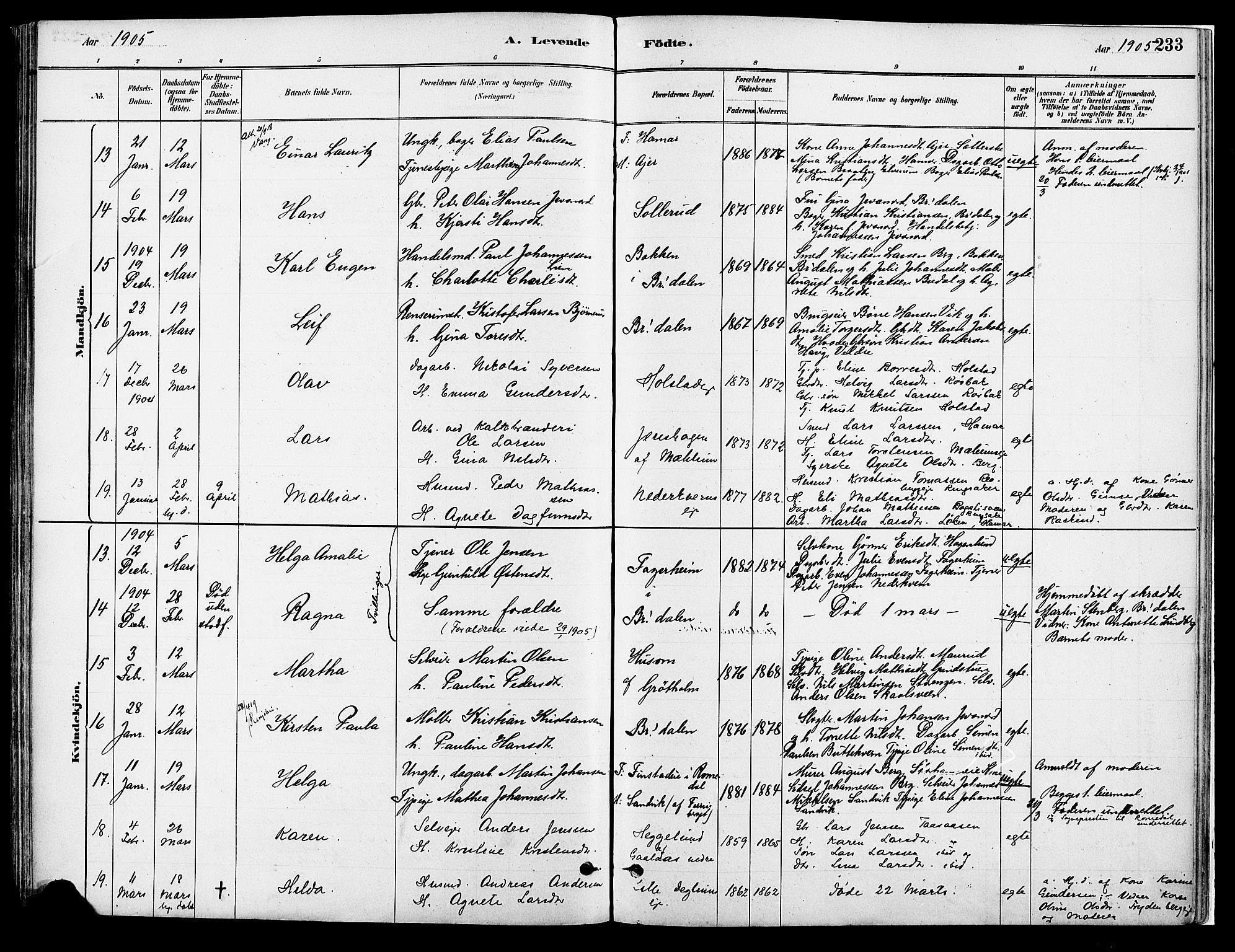 Vang prestekontor, Hedmark, SAH/PREST-008/H/Ha/Haa/L0018A: Parish register (official) no. 18A, 1880-1906, p. 233