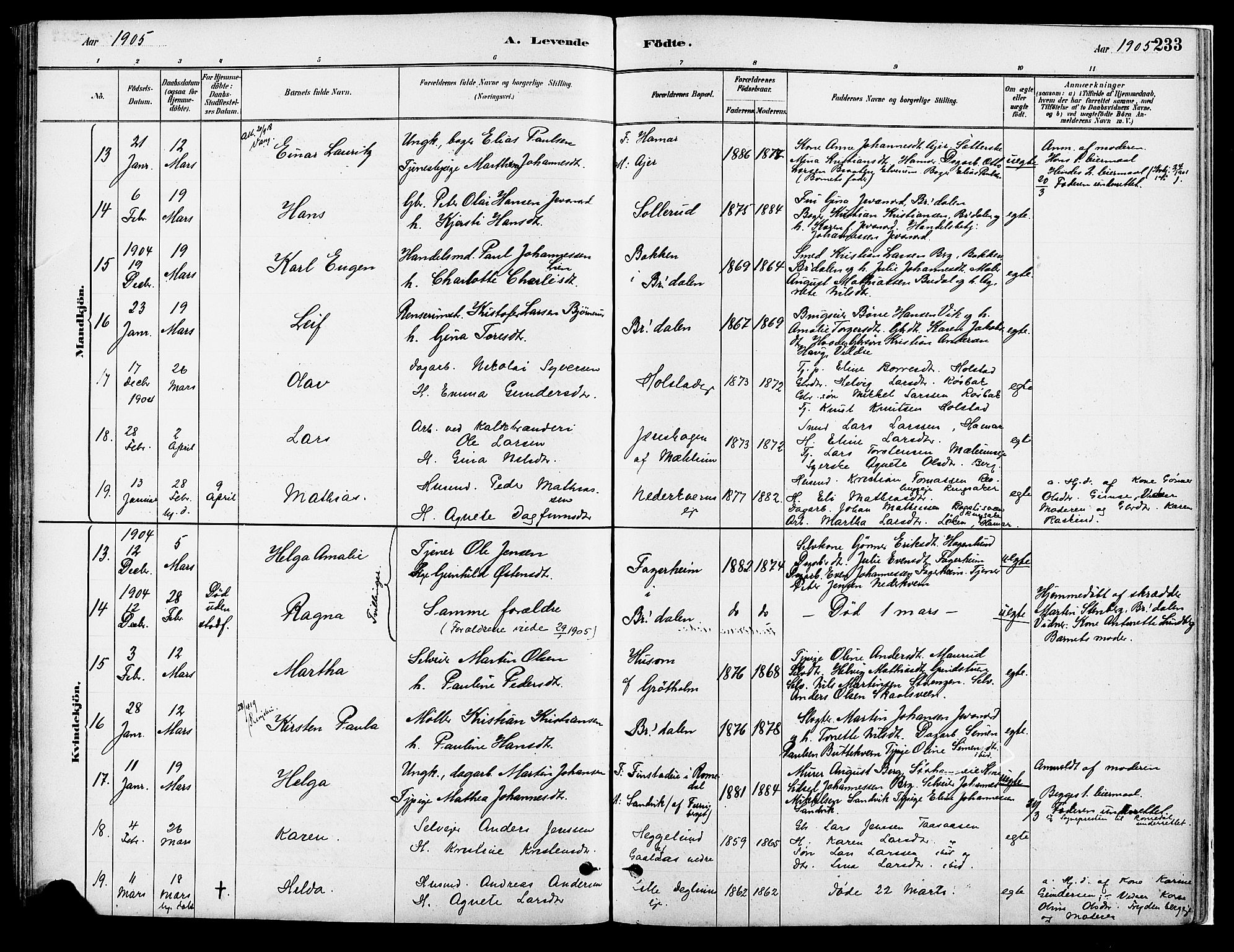 Vang prestekontor, Hedmark, AV/SAH-PREST-008/H/Ha/Haa/L0018A: Parish register (official) no. 18A, 1880-1906, p. 233