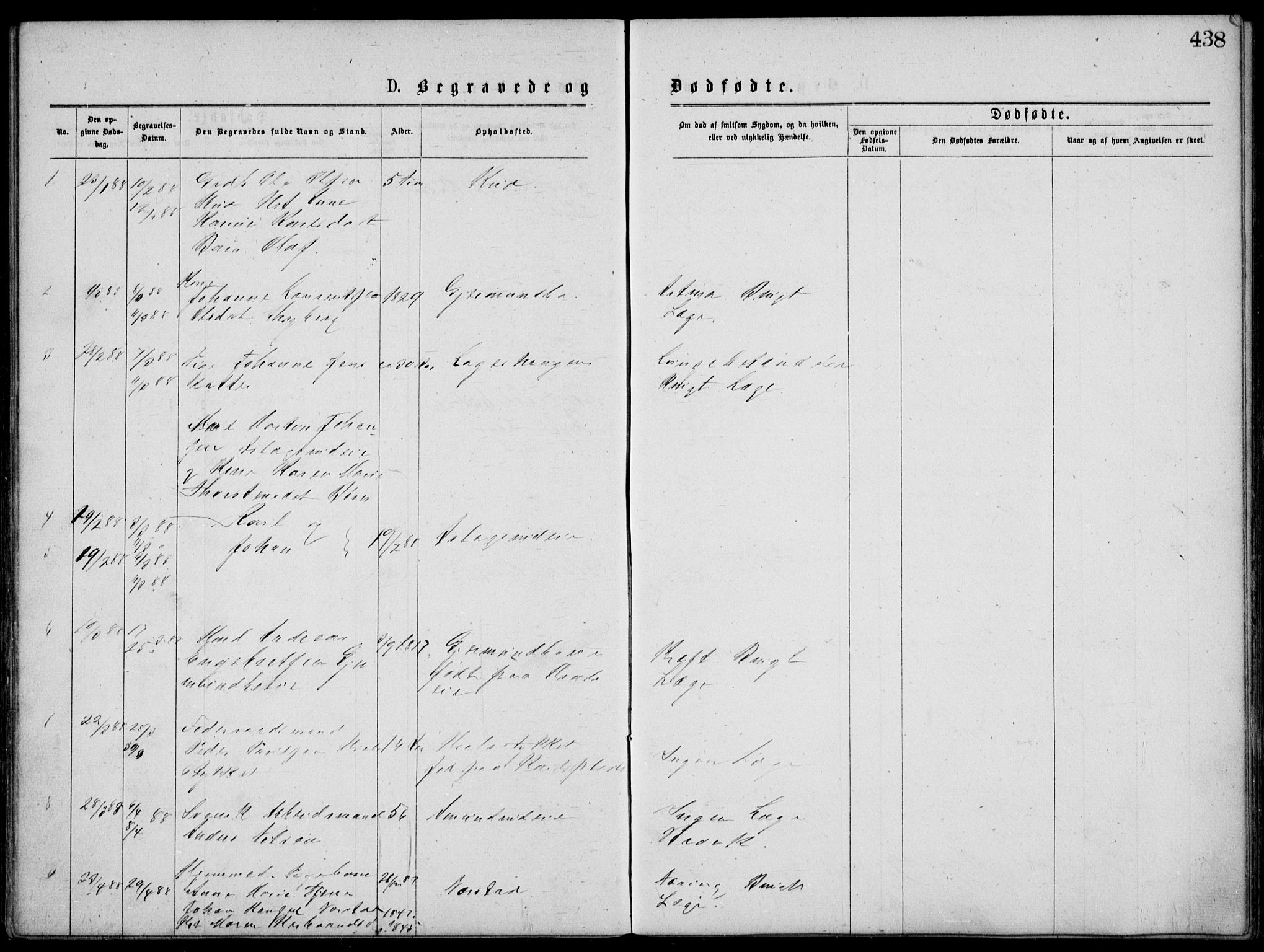 Norderhov kirkebøker, AV/SAKO-A-237/G/Gb/L0001: Parish register (copy) no. II 1, 1876-1899, p. 438