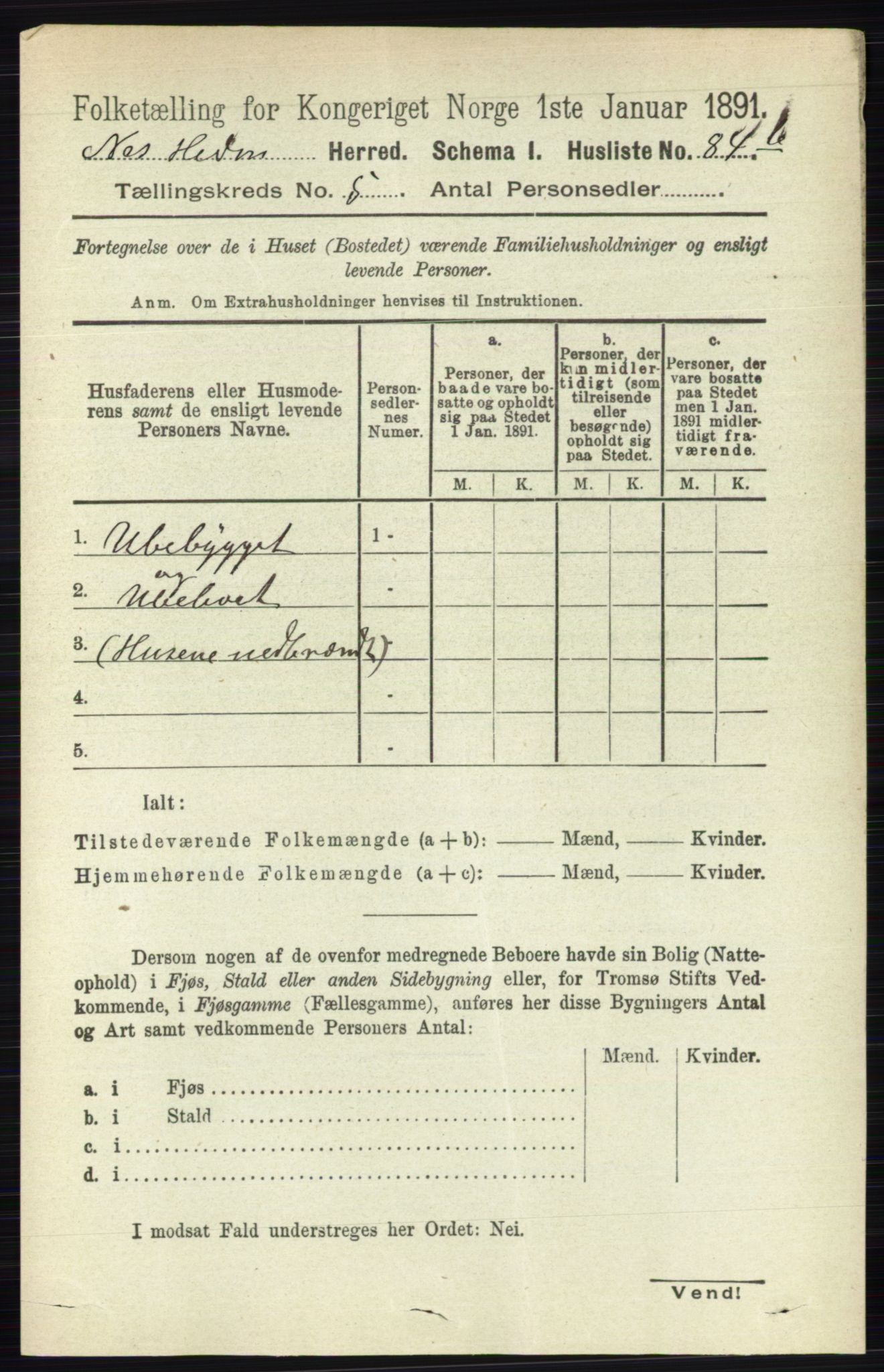 RA, 1891 census for 0411 Nes, 1891, p. 2605