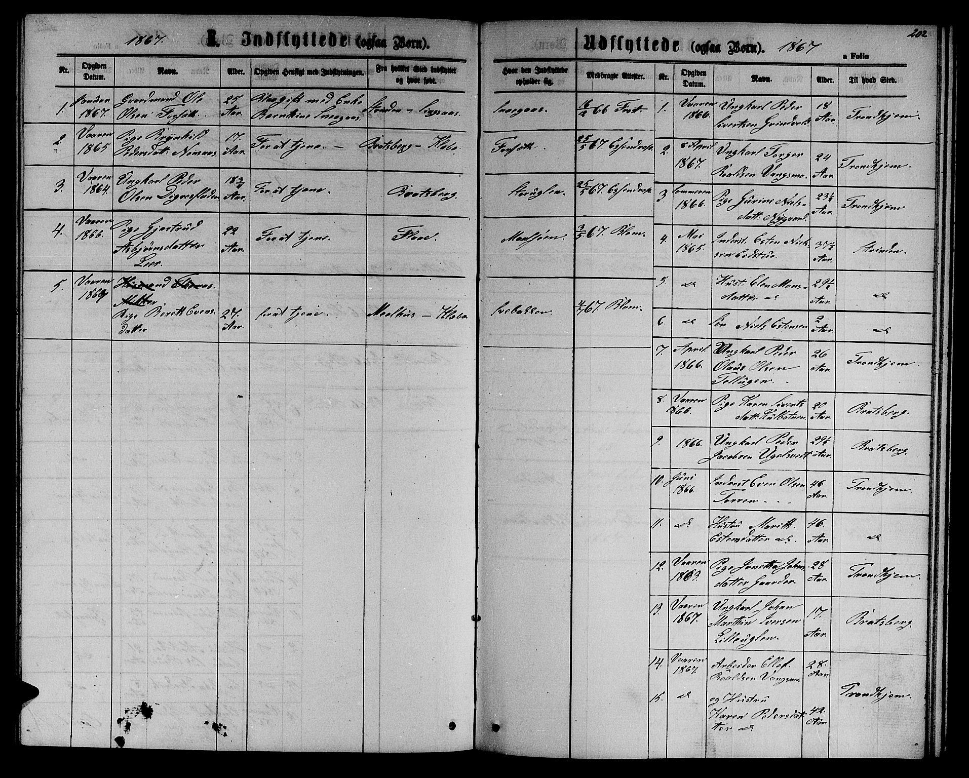 Ministerialprotokoller, klokkerbøker og fødselsregistre - Sør-Trøndelag, SAT/A-1456/618/L0451: Parish register (copy) no. 618C02, 1865-1883, p. 202