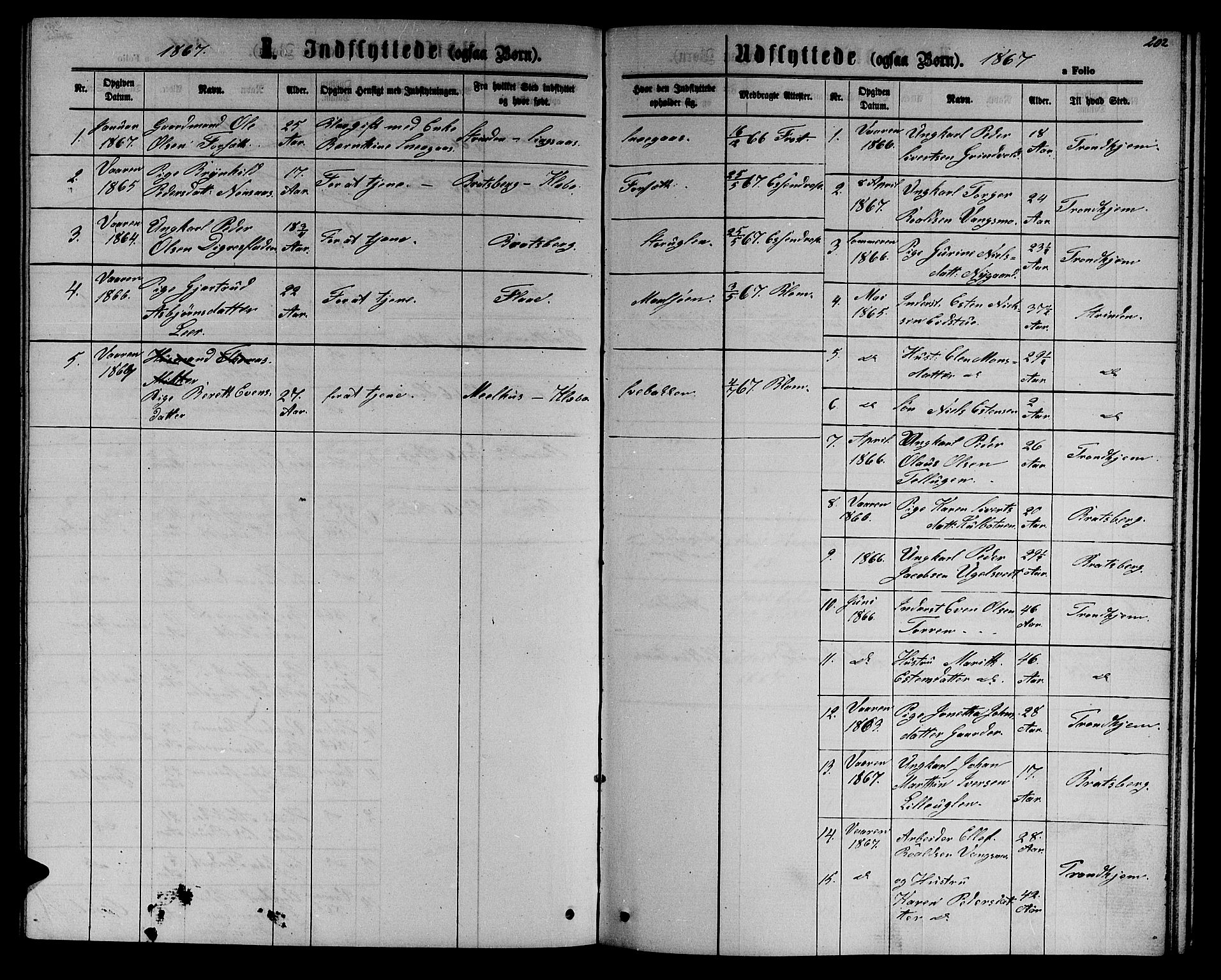Ministerialprotokoller, klokkerbøker og fødselsregistre - Sør-Trøndelag, AV/SAT-A-1456/618/L0451: Parish register (copy) no. 618C02, 1865-1883, p. 202