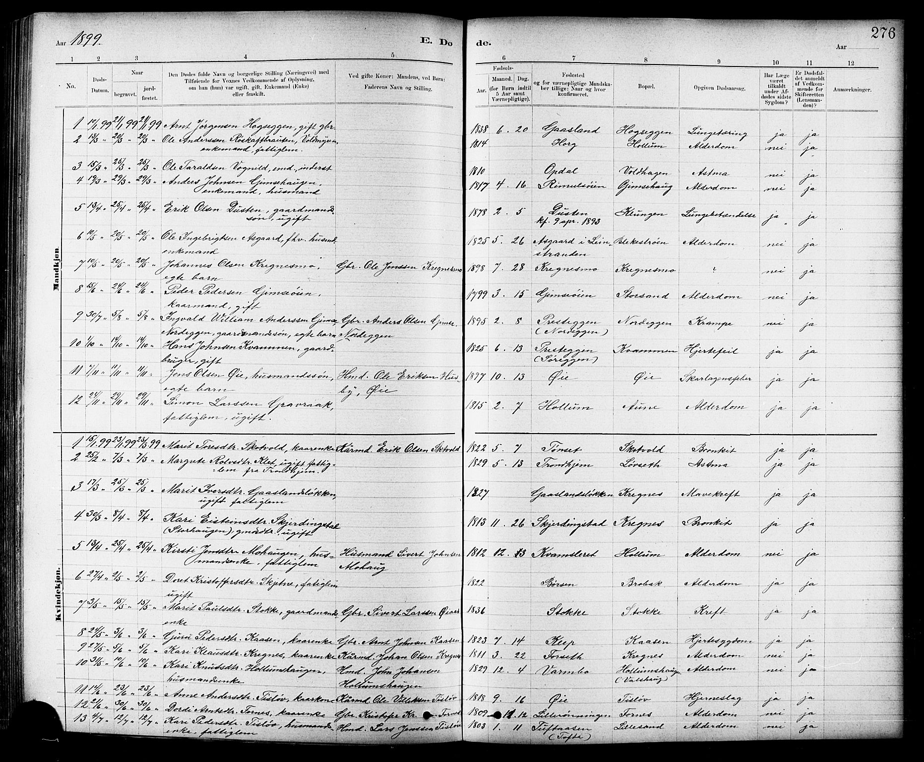 Ministerialprotokoller, klokkerbøker og fødselsregistre - Sør-Trøndelag, SAT/A-1456/691/L1094: Parish register (copy) no. 691C05, 1879-1911, p. 276