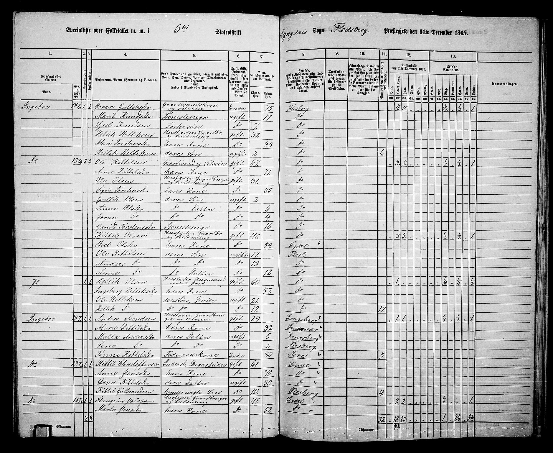 RA, 1865 census for Flesberg, 1865, p. 123