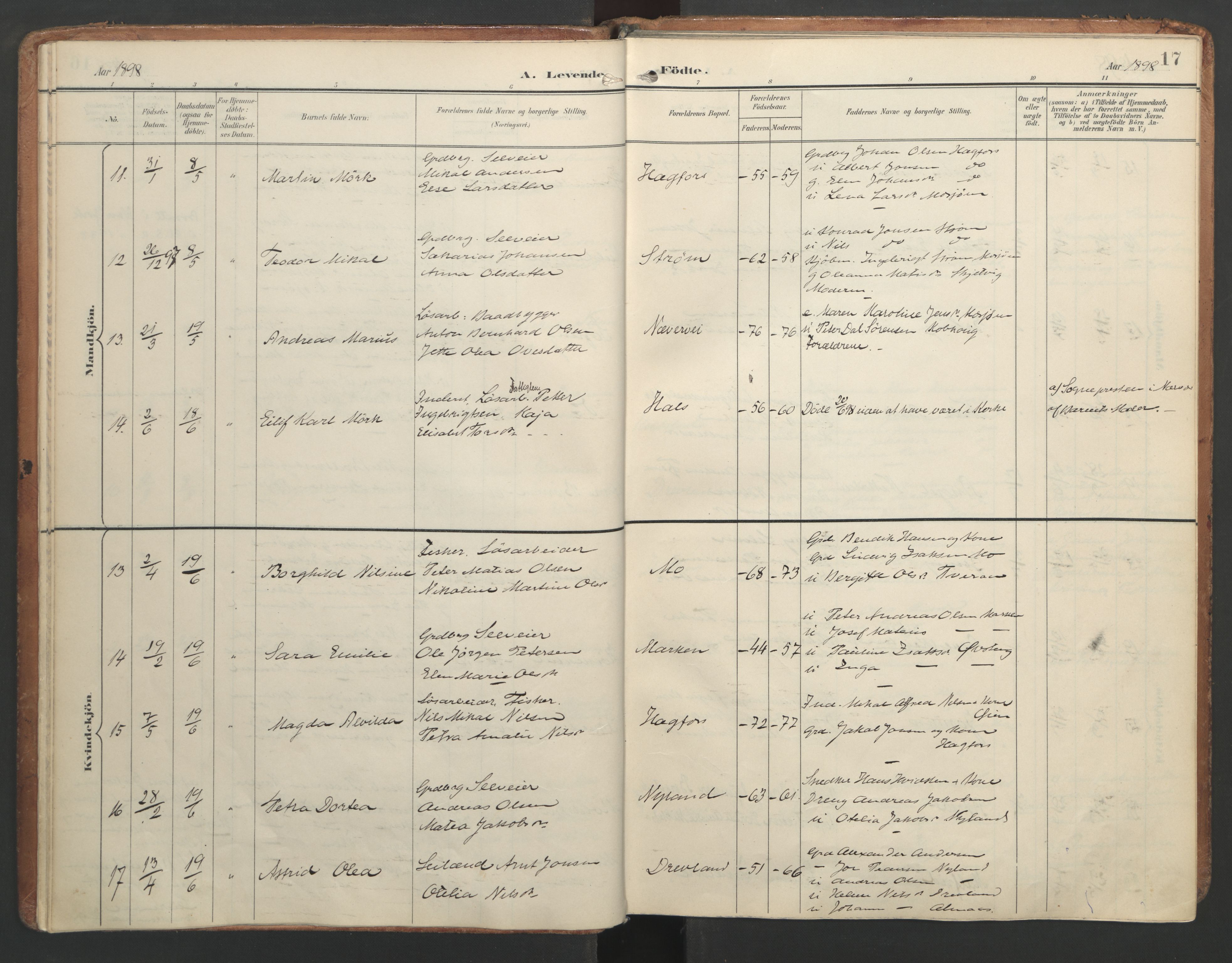 Ministerialprotokoller, klokkerbøker og fødselsregistre - Nordland, AV/SAT-A-1459/820/L0297: Parish register (official) no. 820A18, 1897-1917, p. 17