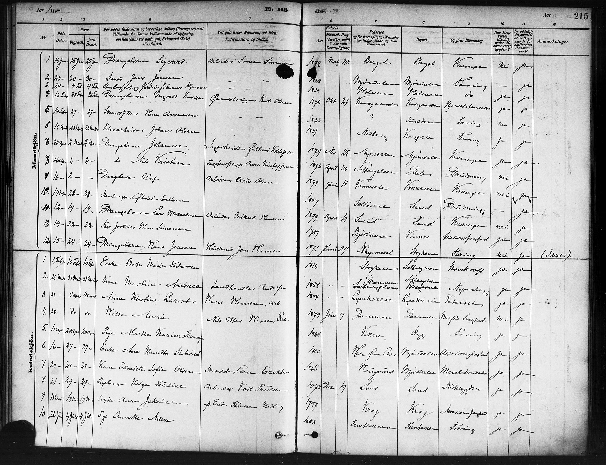 Nedre Eiker kirkebøker, SAKO/A-612/F/Fa/L0002: Parish register (official) no. 2, 1878-1885, p. 215