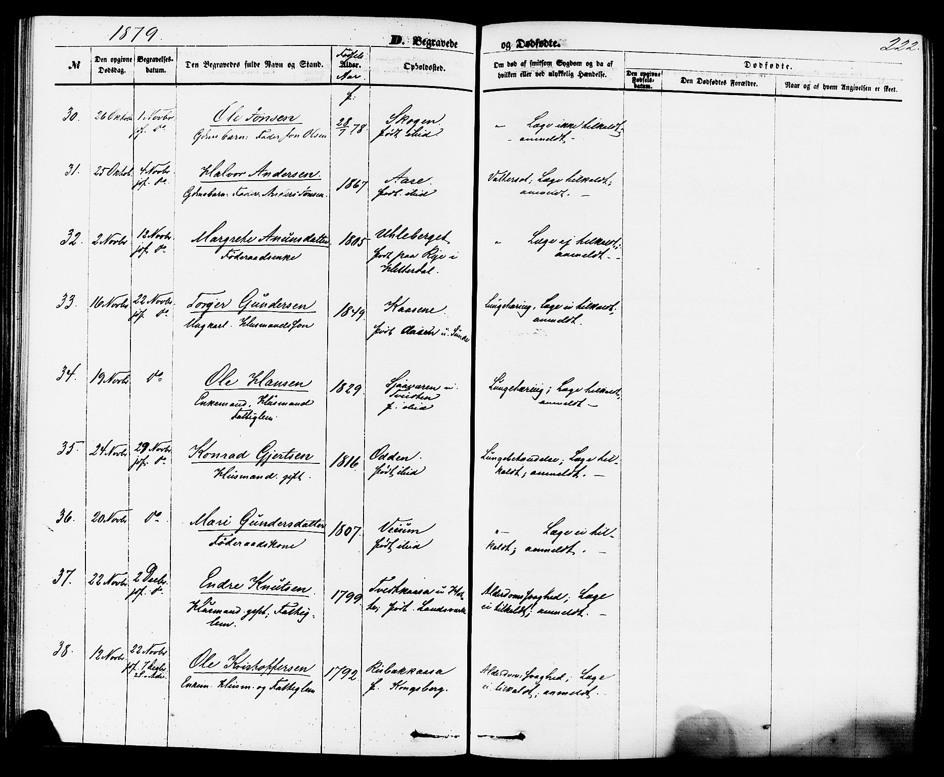 Sauherad kirkebøker, SAKO/A-298/F/Fa/L0008: Parish register (official) no. I 8, 1873-1886, p. 222