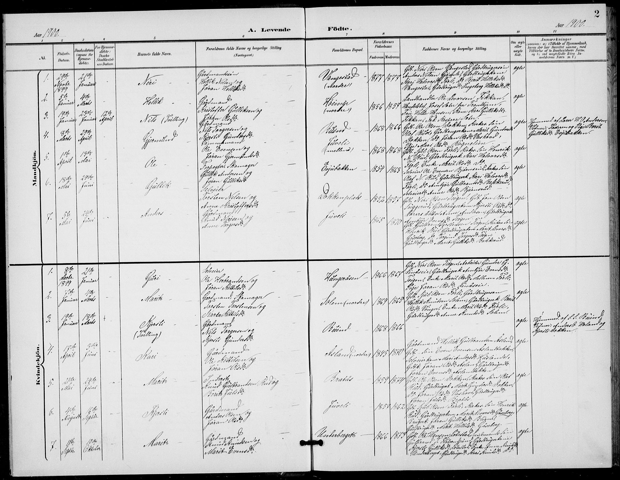 Flesberg kirkebøker, SAKO/A-18/G/Ga/L0005: Parish register (copy) no. I 5, 1899-1908, p. 2
