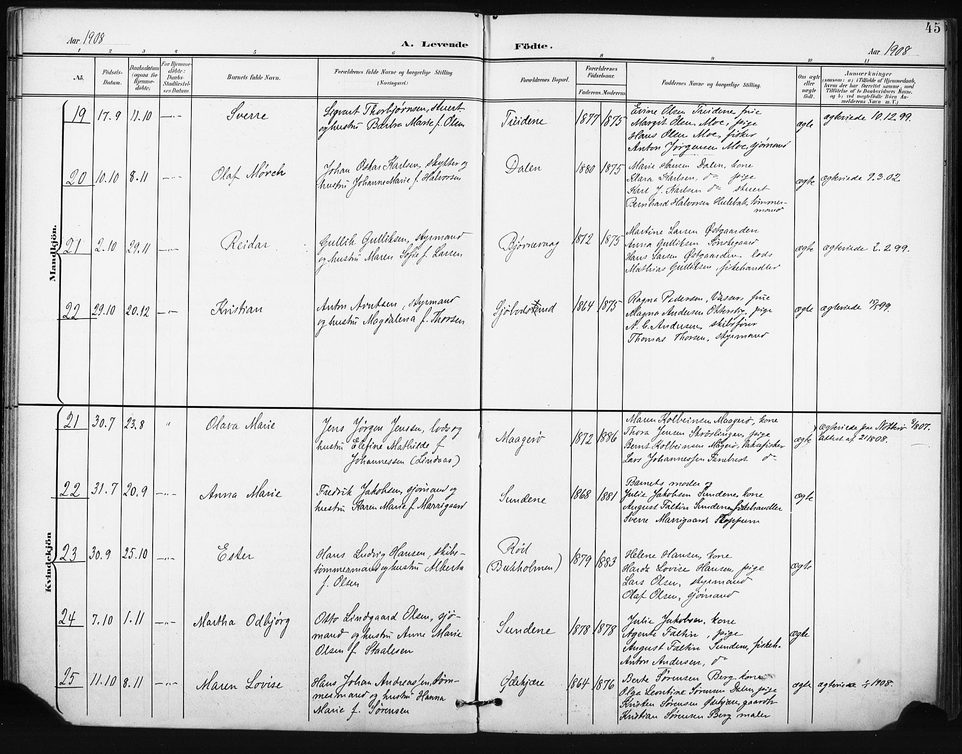 Tjøme kirkebøker, AV/SAKO-A-328/F/Fa/L0005: Parish register (official) no. I 5, 1901-1909, p. 45