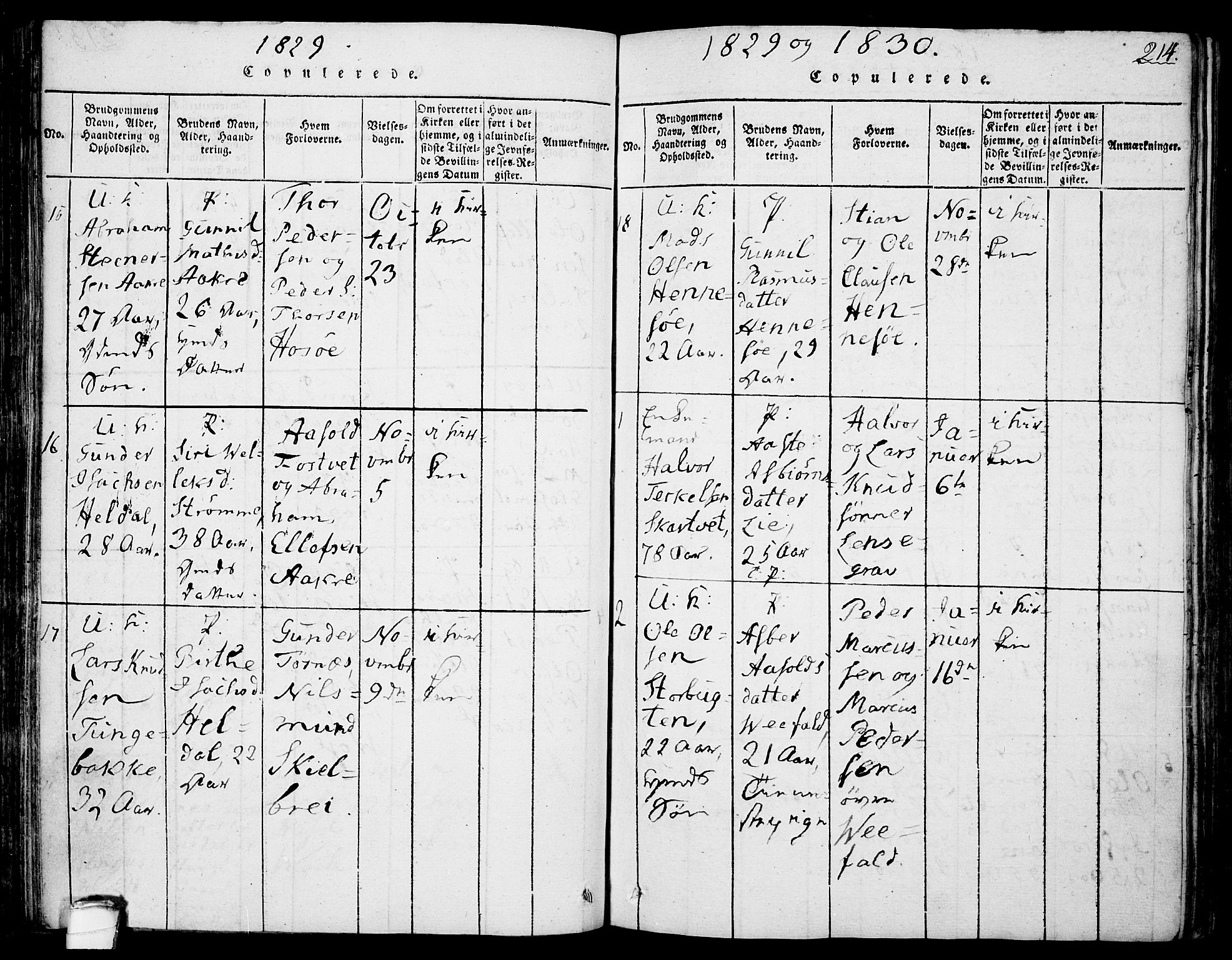 Drangedal kirkebøker, SAKO/A-258/F/Fa/L0005: Parish register (official) no. 5 /1, 1814-1831, p. 214