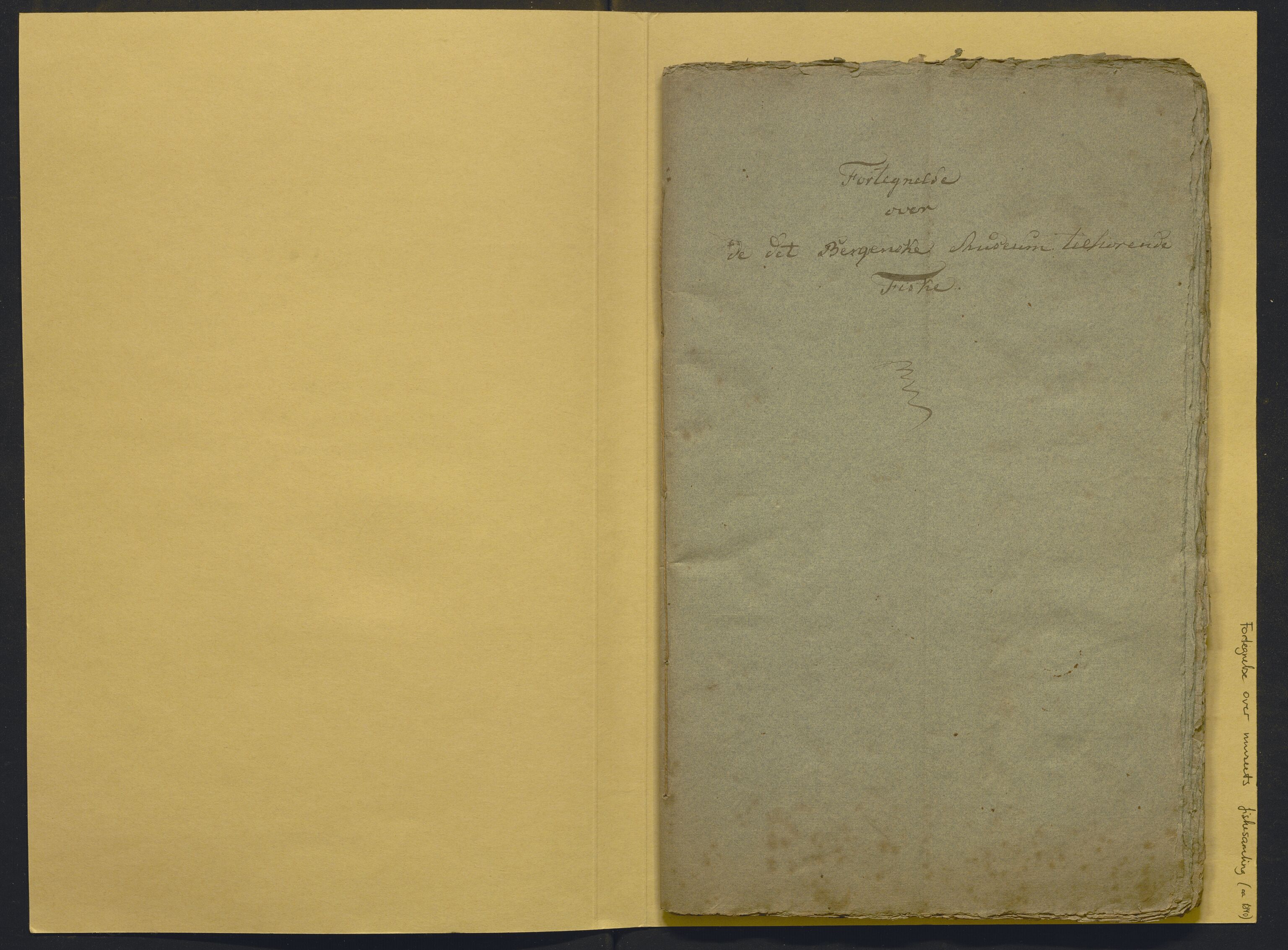 Bergens Museum, AV/SAB-A-17301/02/F/L0001: Kataloger over gjenstander og pergamentbrev , 1825-1880, p. 490