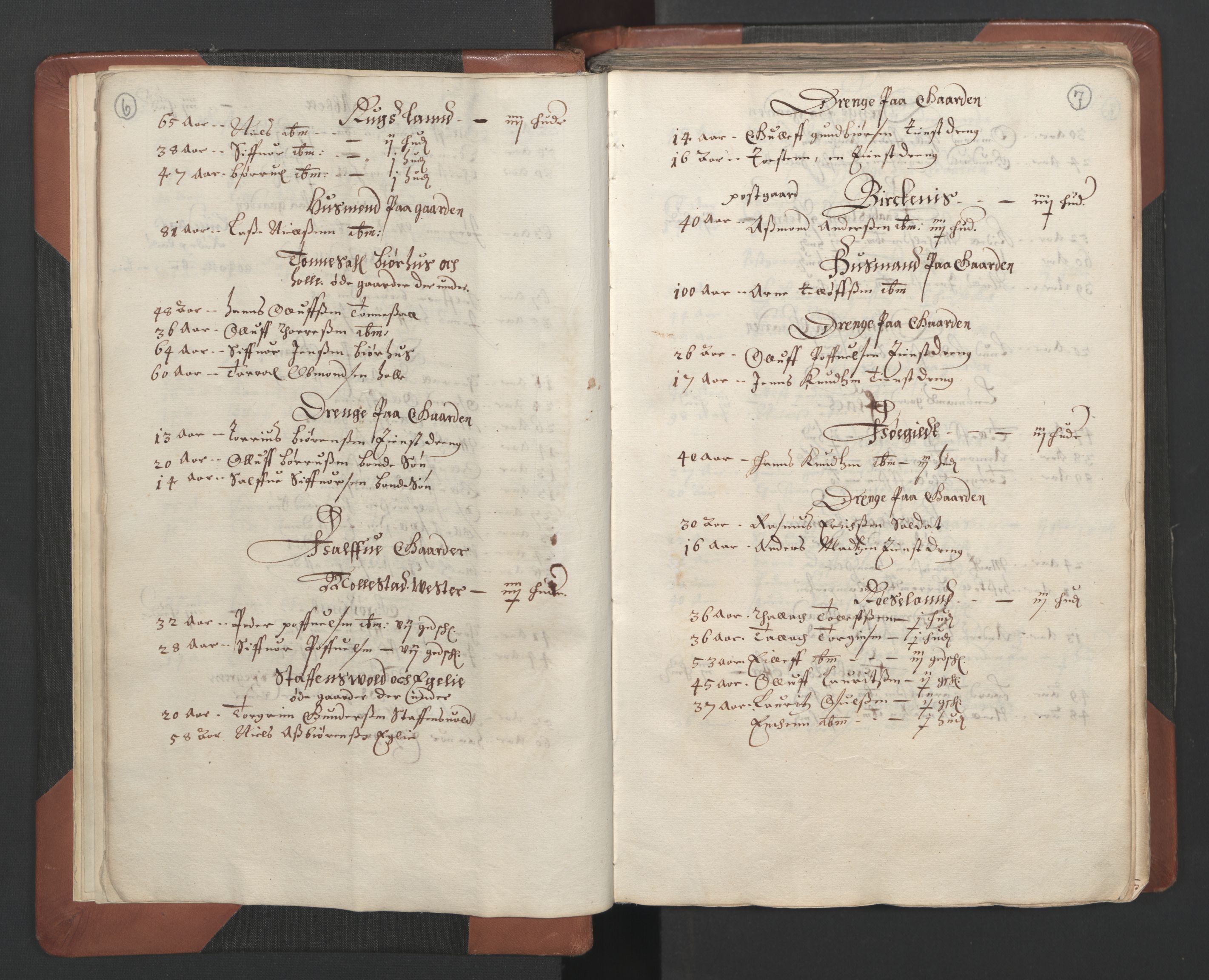 RA, Bailiff's Census 1664-1666, no. 7: Nedenes fogderi, 1664-1666, p. 6-7