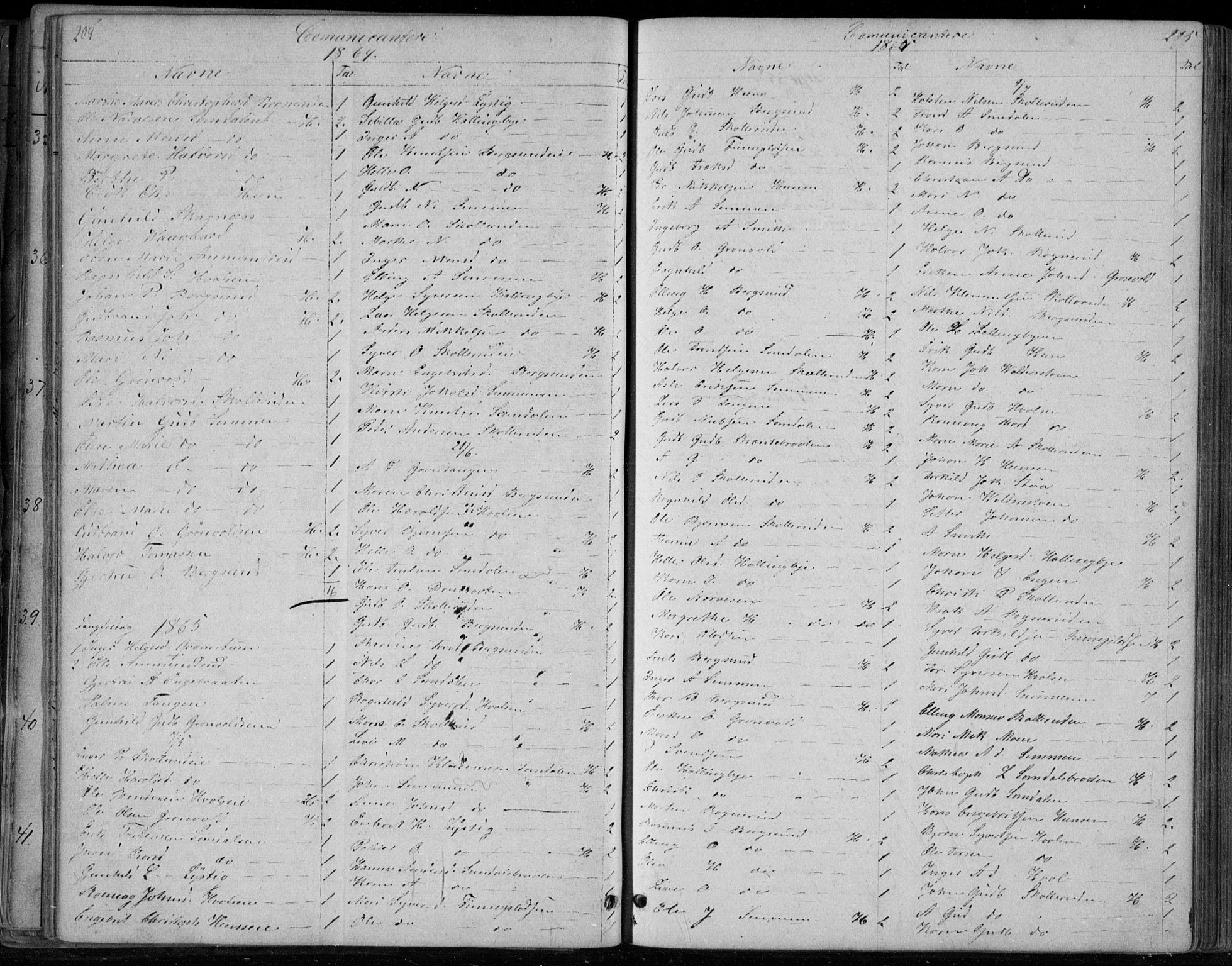 Ådal kirkebøker, SAKO/A-248/G/Gc/L0001: Parish register (copy) no. III 1, 1862-1898, p. 204-205
