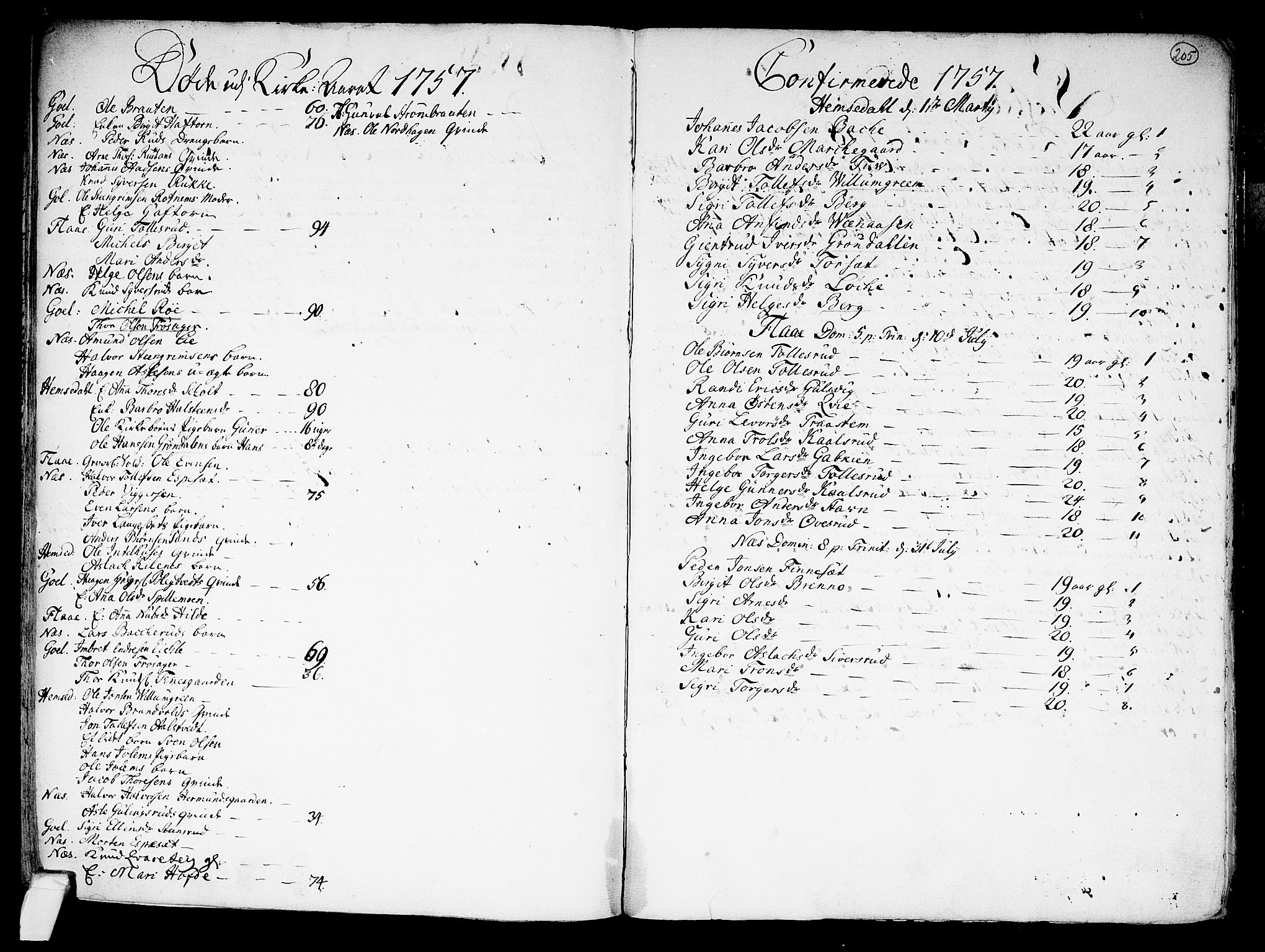 Nes kirkebøker, SAKO/A-236/F/Fa/L0002: Parish register (official) no. 2, 1707-1759, p. 205