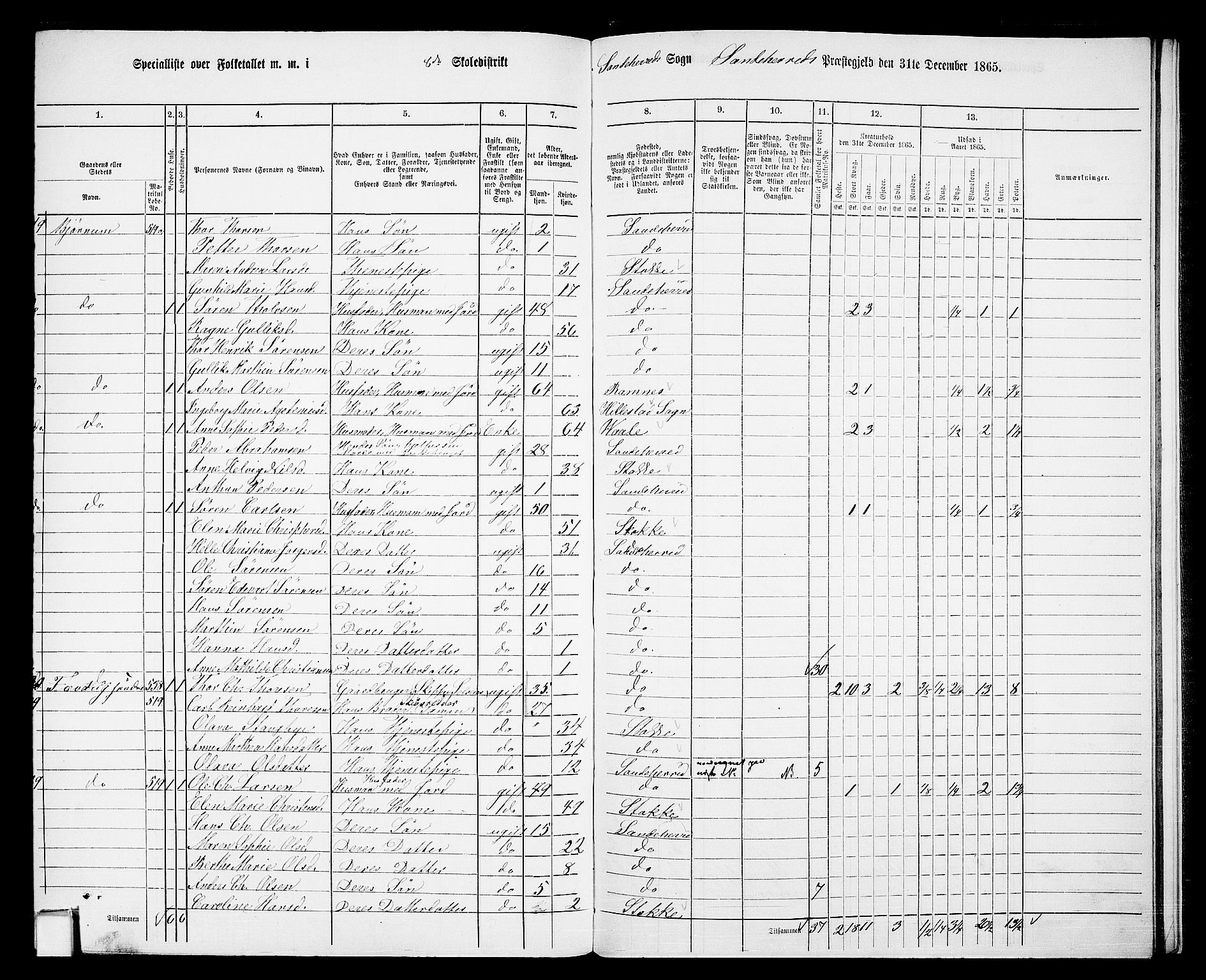 RA, 1865 census for Sandeherred/Sandeherred, 1865, p. 203