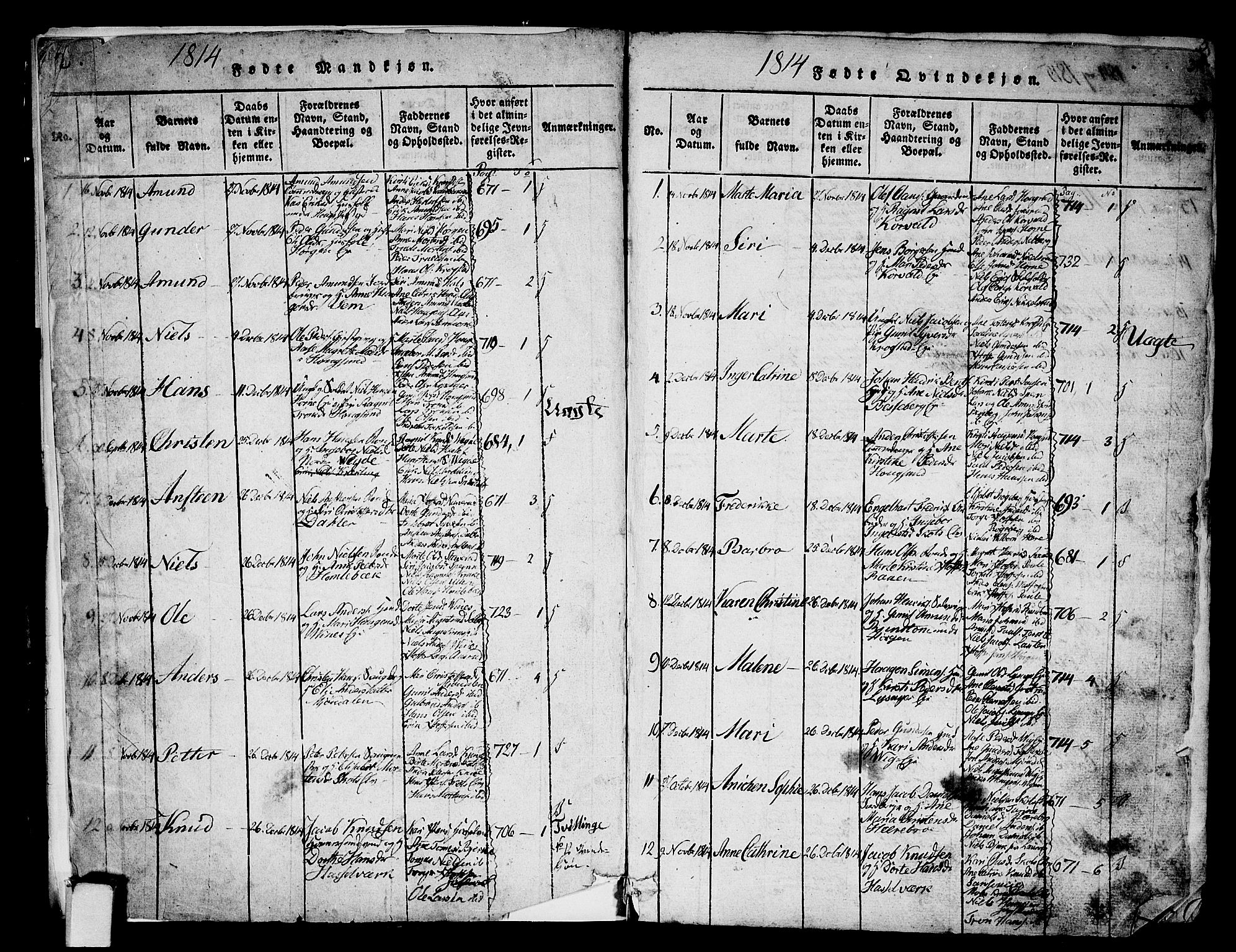 Eiker kirkebøker, AV/SAKO-A-4/G/Ga/L0001: Parish register (copy) no. I 1, 1814-1832, p. 2-3