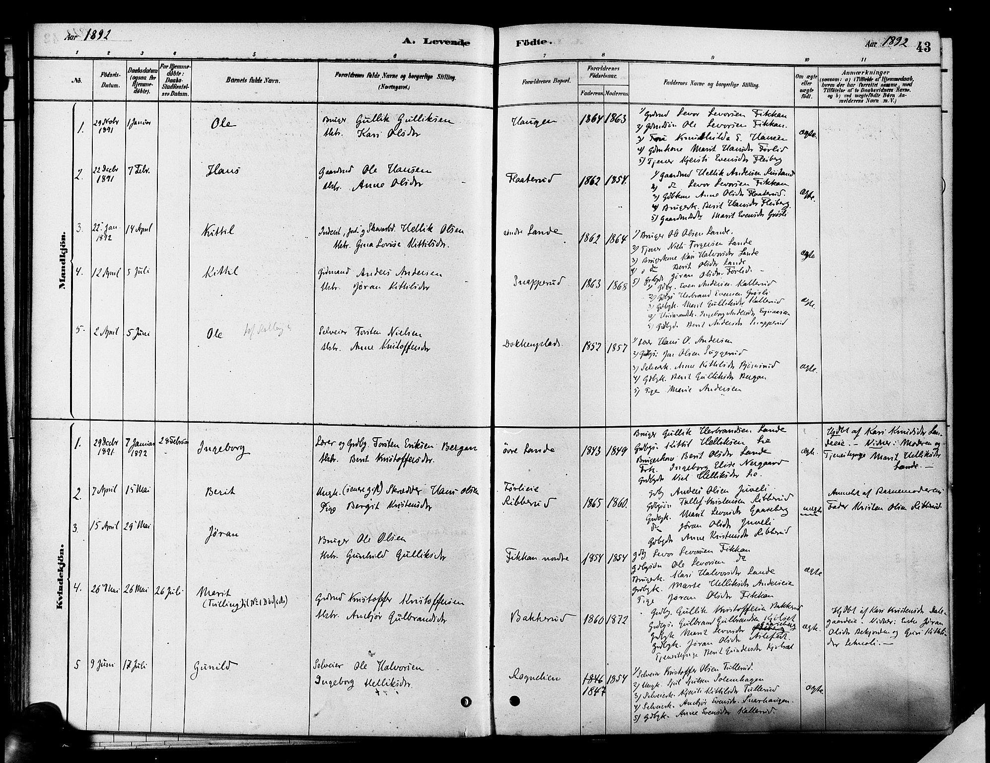 Flesberg kirkebøker, SAKO/A-18/F/Fa/L0008: Parish register (official) no. I 8, 1879-1899, p. 43