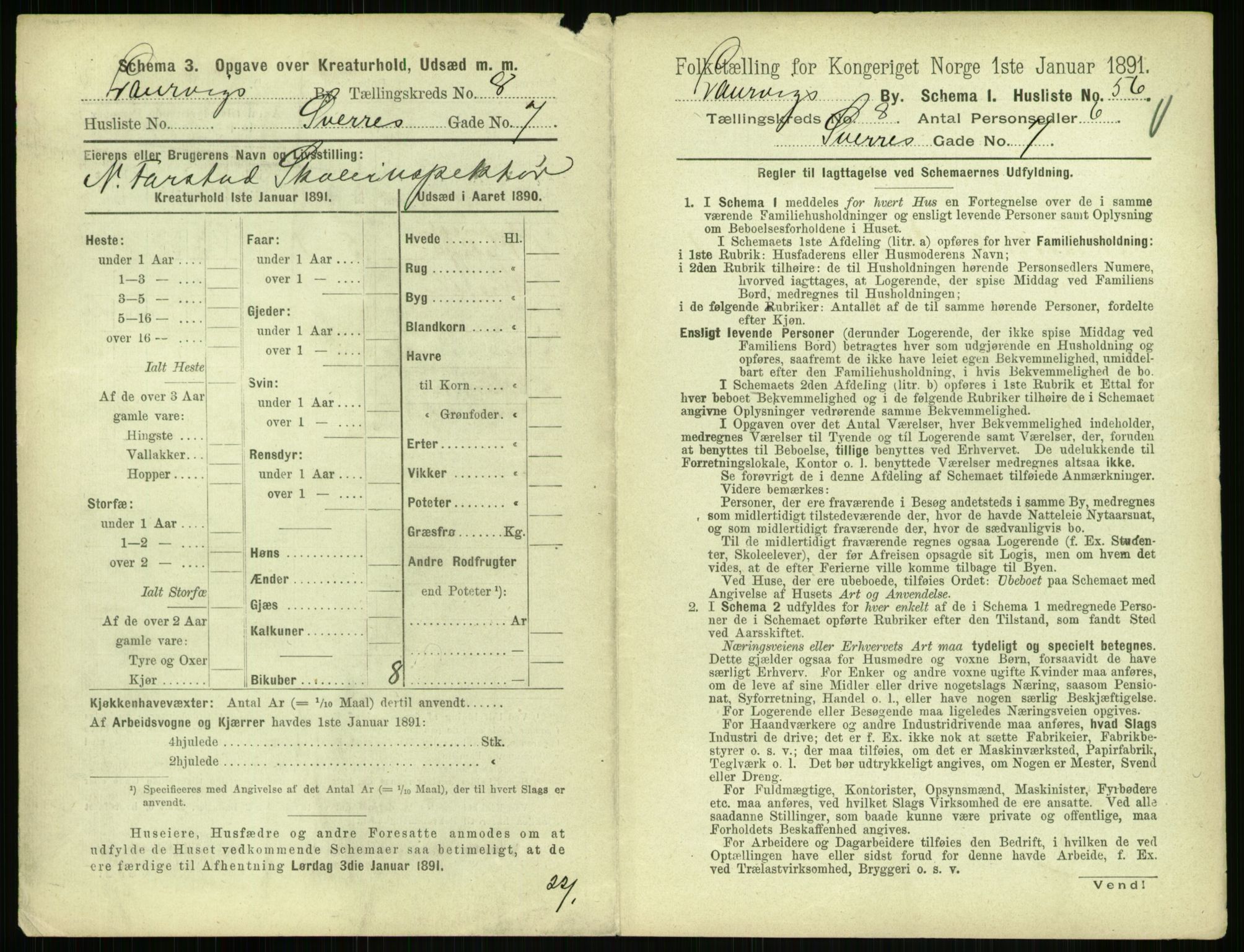 RA, 1891 census for 0707 Larvik, 1891, p. 1117