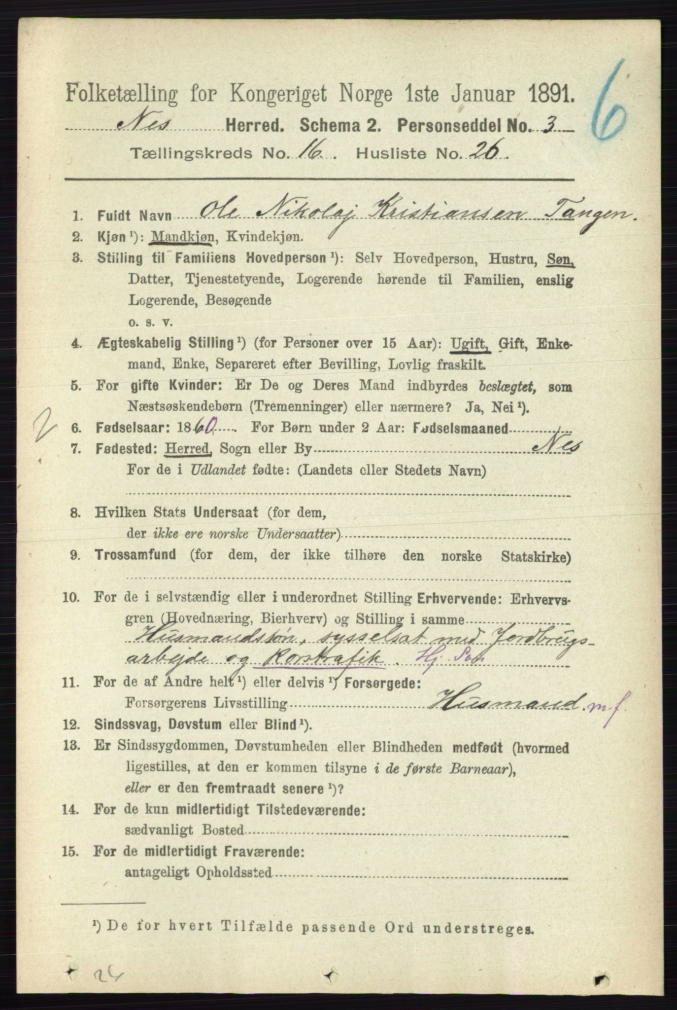 RA, 1891 census for 0236 Nes, 1891, p. 9706